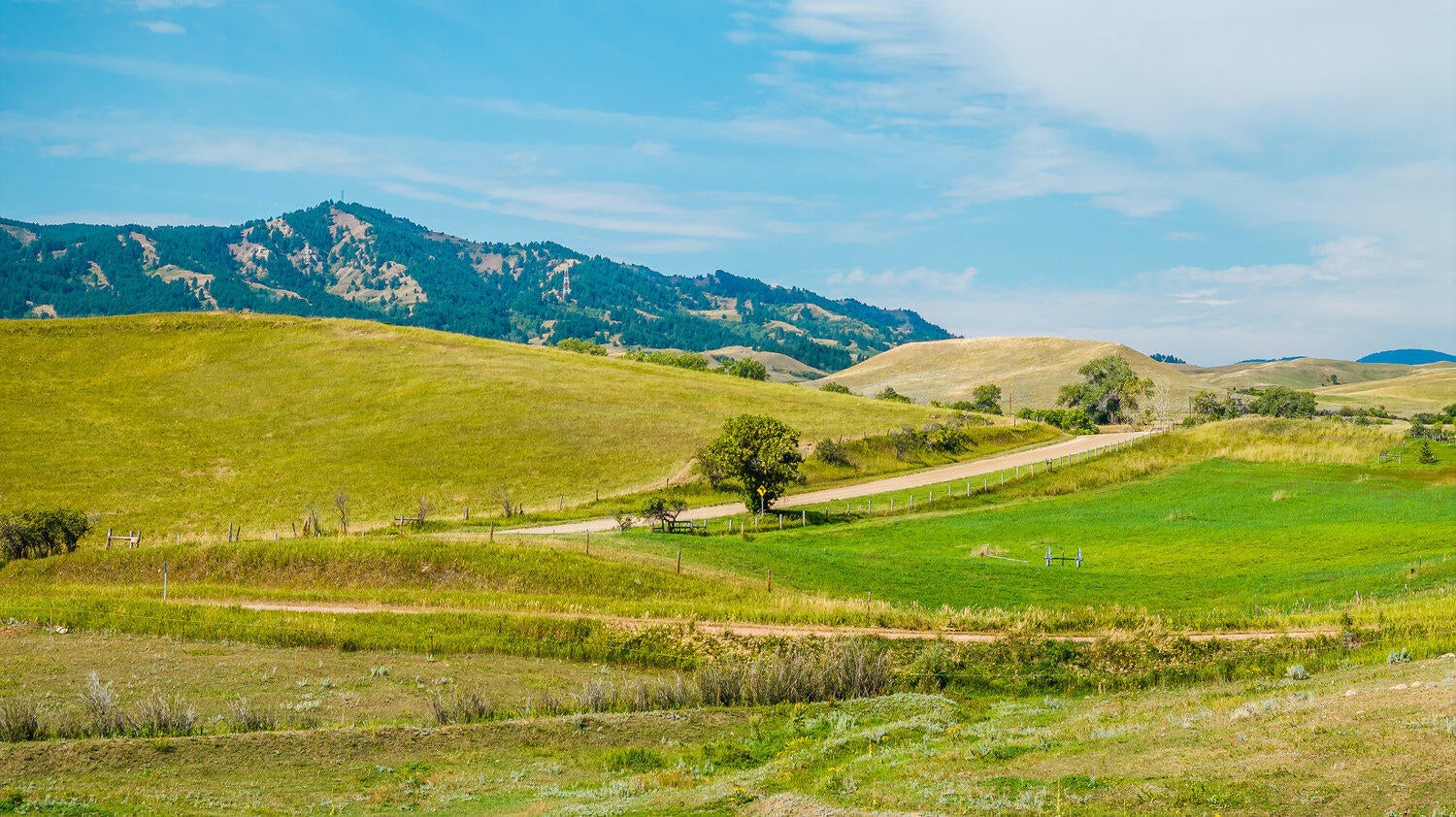 Banner, Wyoming, 82832, United States, 4 Bedrooms Bedrooms, ,3 BathroomsBathrooms,Residential,For Sale,1983466