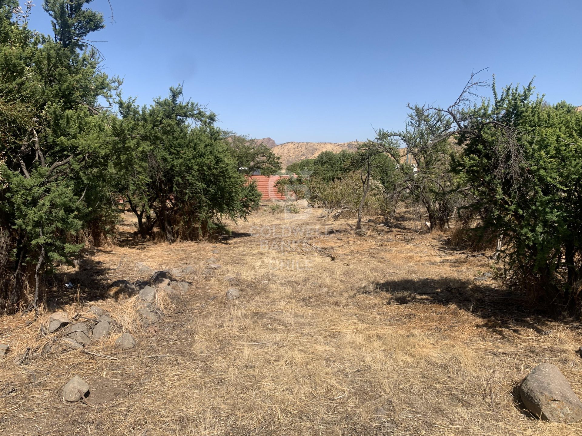 Colina, Chile, ,Land,For Sale,1696846