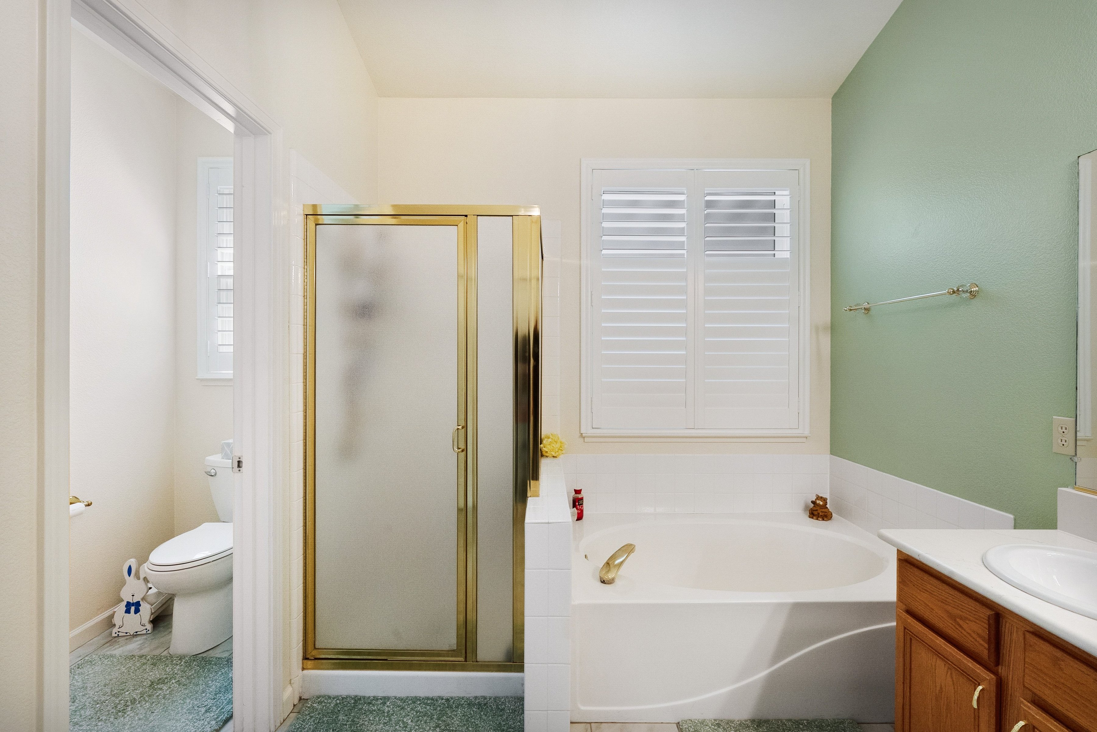  Immaculate Home with No HOA - 物件實景