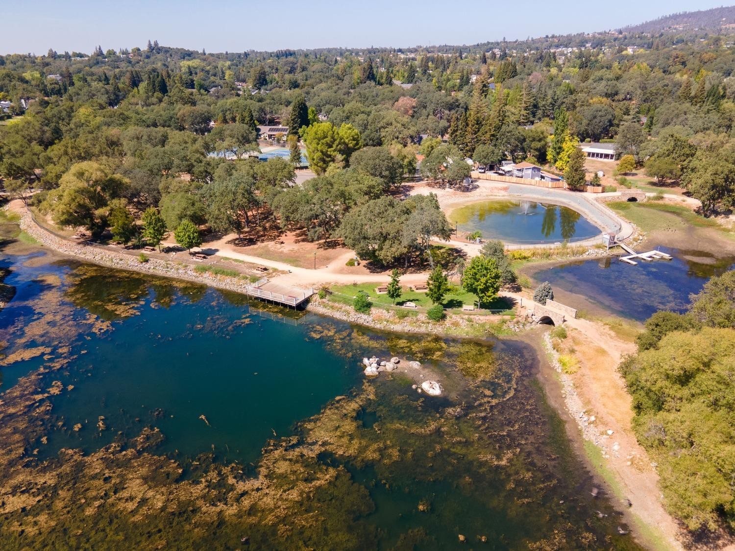 3705 Chelsea Road, Cameron Park, California, 95682, United States, 3 Bedrooms Bedrooms, ,2 BathroomsBathrooms,Residential,For Sale,3705 Chelsea Road,1627321