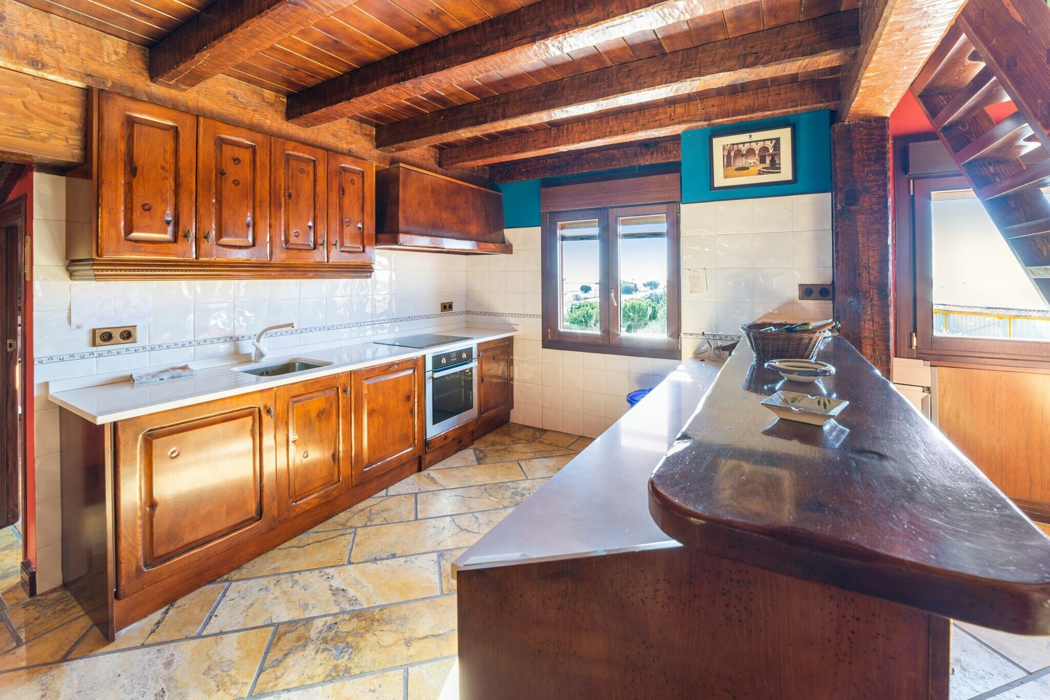  Equestrian center specialized in Arabian horses and fighting bulls. - 物件實景