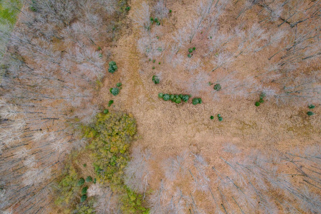 Wausau, Wisconsin, 54401, United States, ,Residential,For Sale,2001990