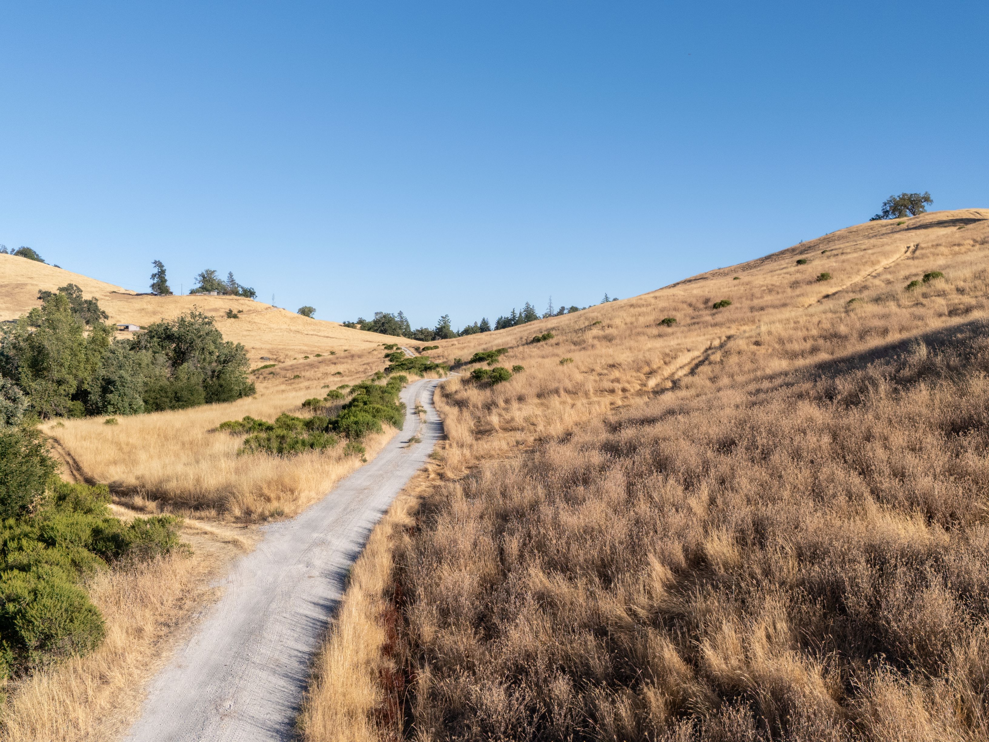  Very Rare Opportunity Alexander Valley Ranch - 物件實景