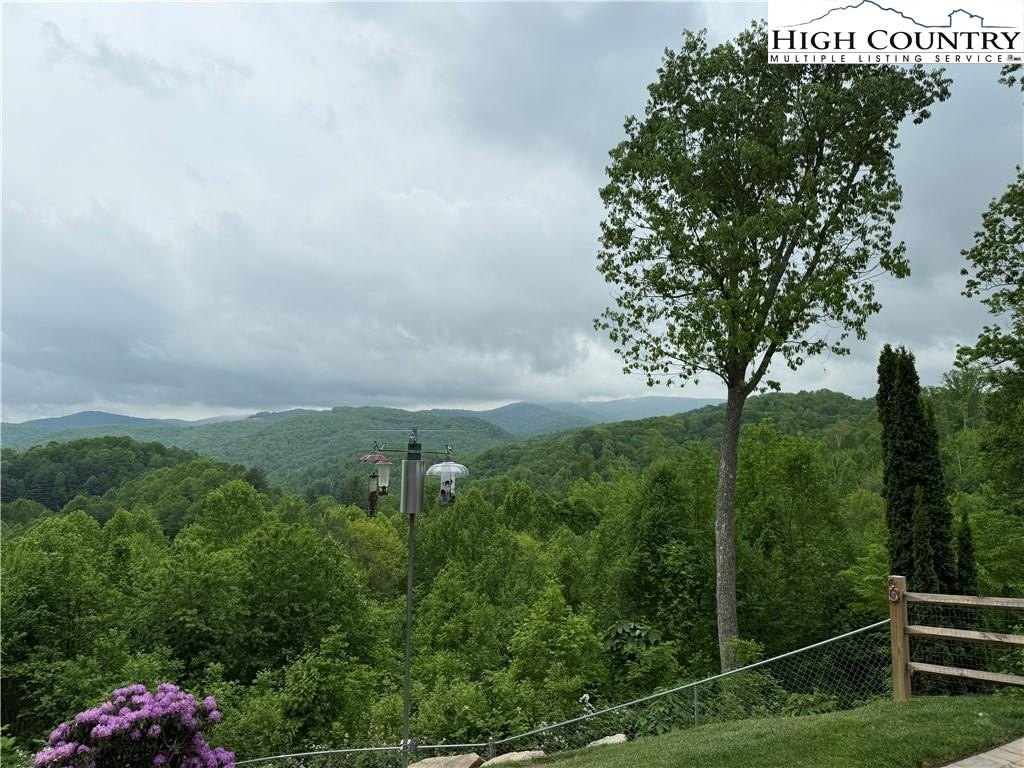 Elk Park, North Carolina, 28622, United States, 3 Bedrooms Bedrooms, ,3 BathroomsBathrooms,Residential,For Sale,1984406