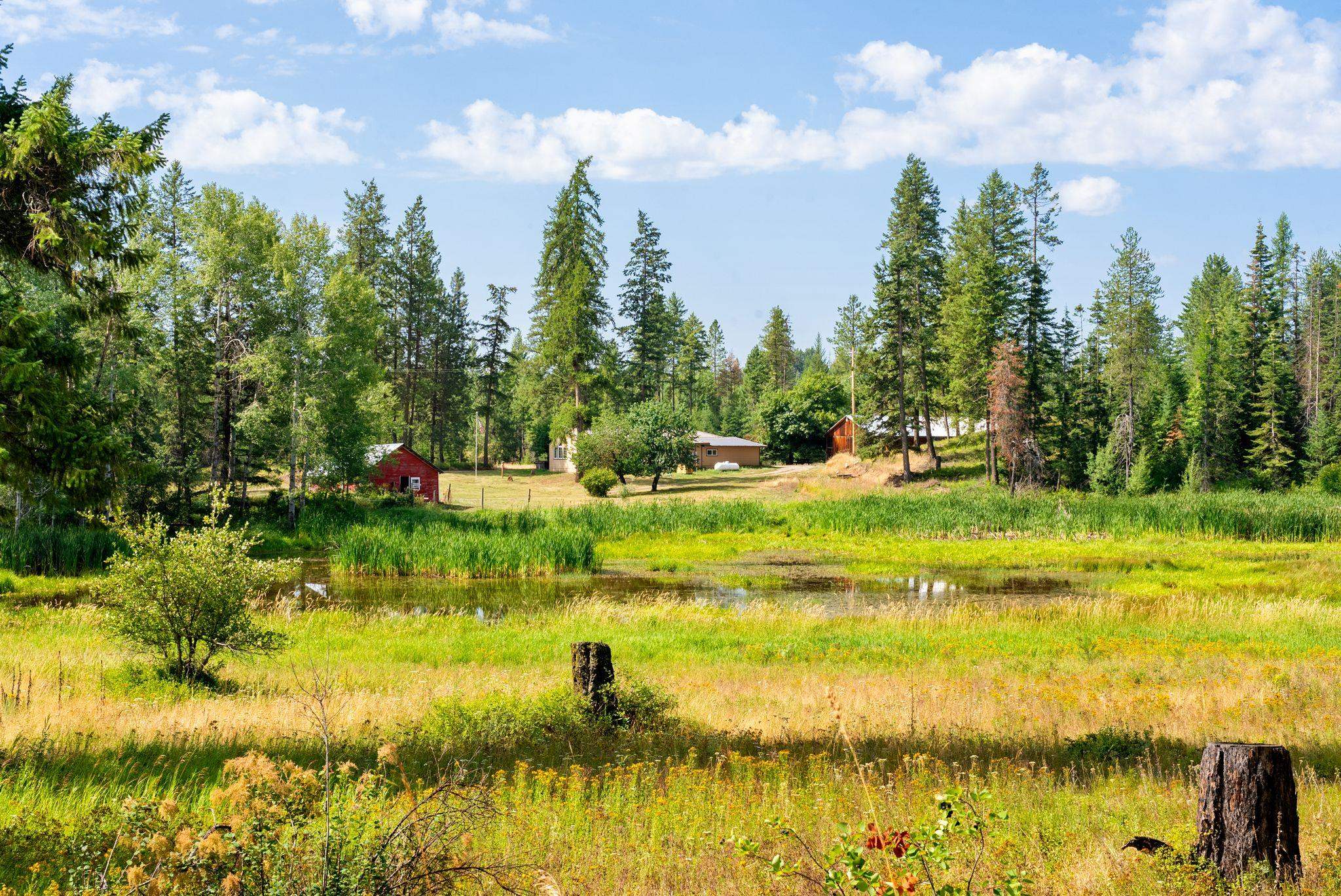Valley, Washington, 99181, United States, 3 Bedrooms Bedrooms, ,2 BathroomsBathrooms,Residential,For Sale,1901160