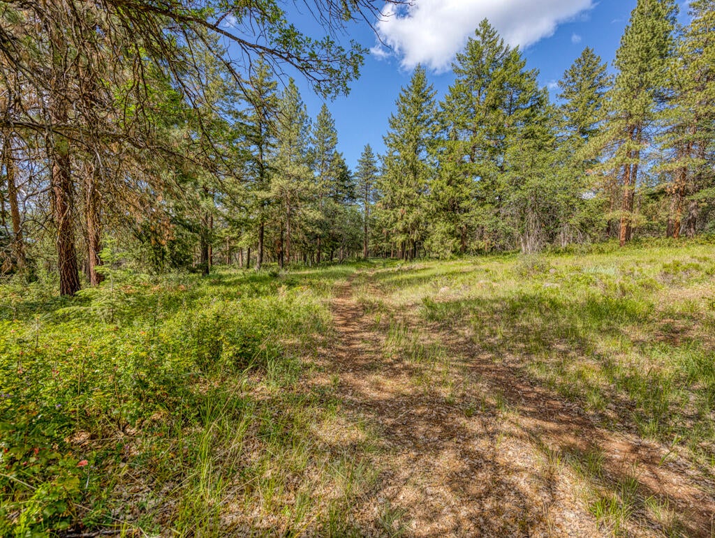 Klamath Falls, Oregon, 97601, United States, ,Land,For Sale,1793869