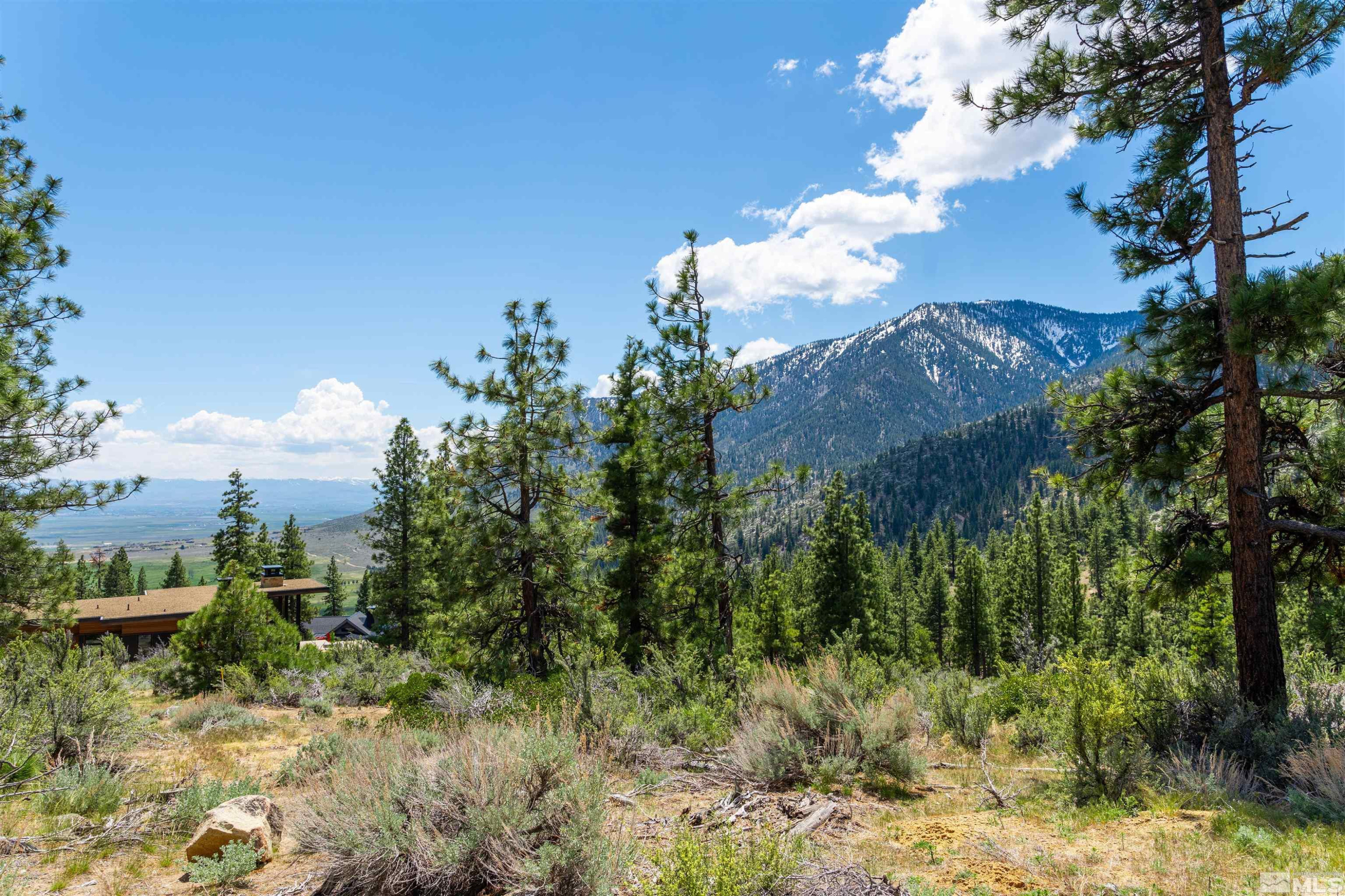 Carson City, Nevada, 89705, United States, ,Land,For Sale,1828130