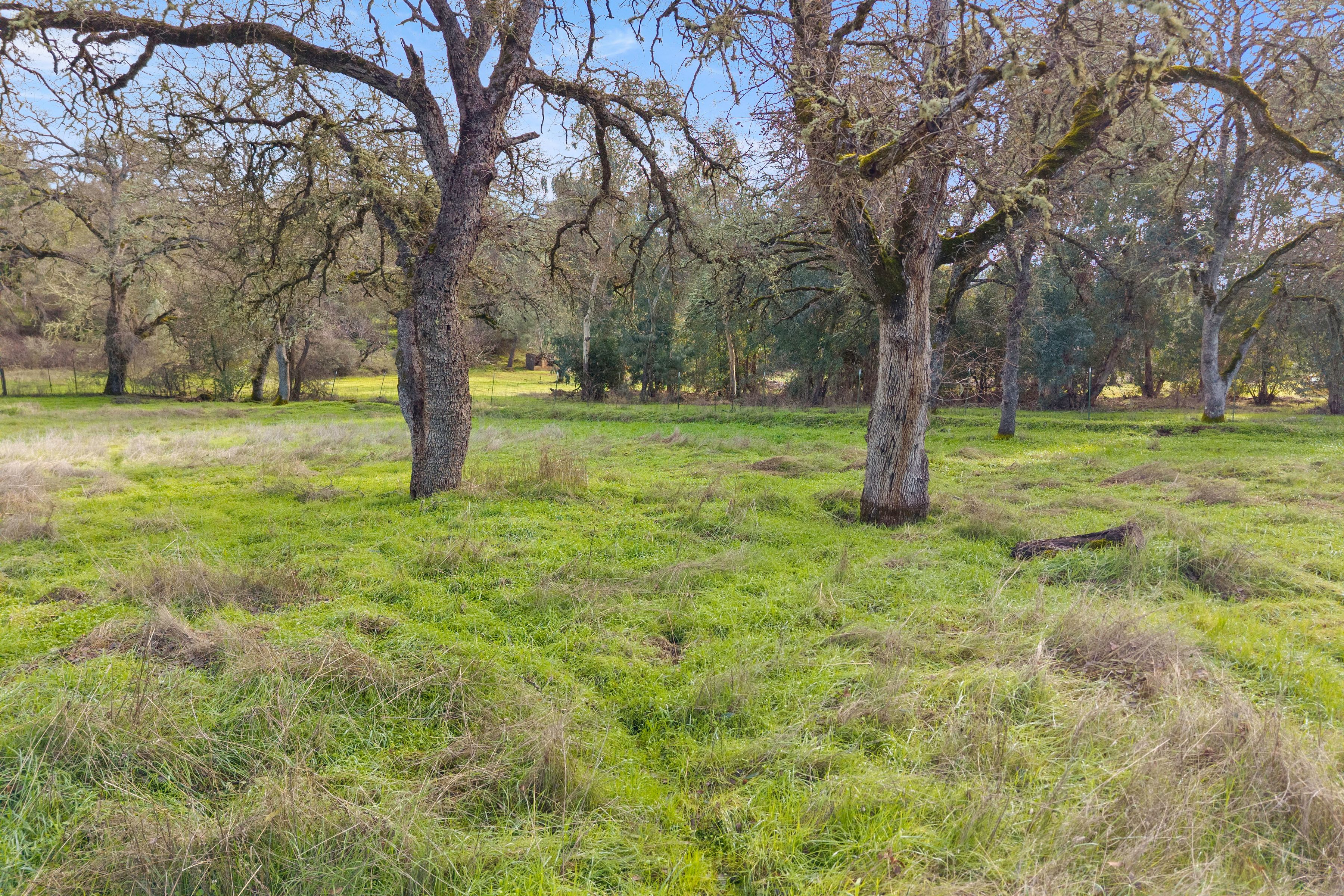  4962 Gaddy Lane - 物件實景