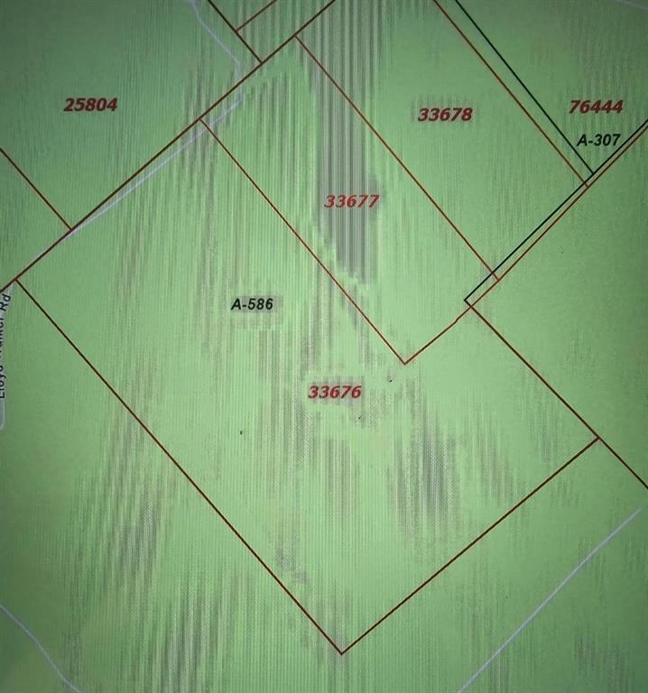 Huntington, Texas, 75949, United States, ,Land,For Sale,1784862