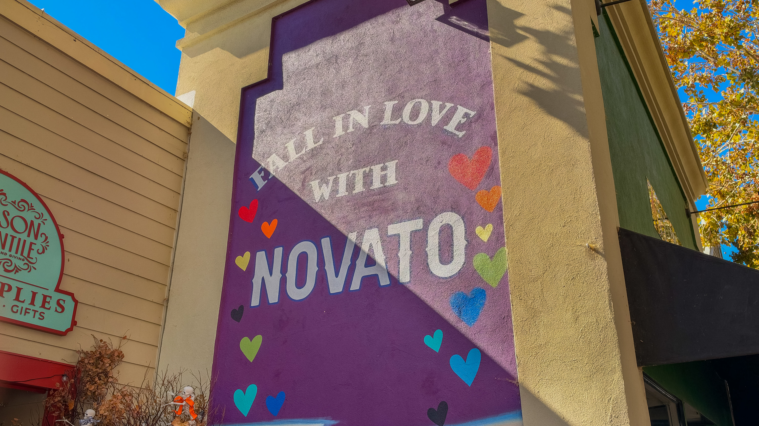  728 Eucalyptus Avenue, Novato, CA 94947 - 物件實景