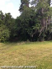 Lake Placid, Florida, 33852, United States, ,Land,For Sale,1687592