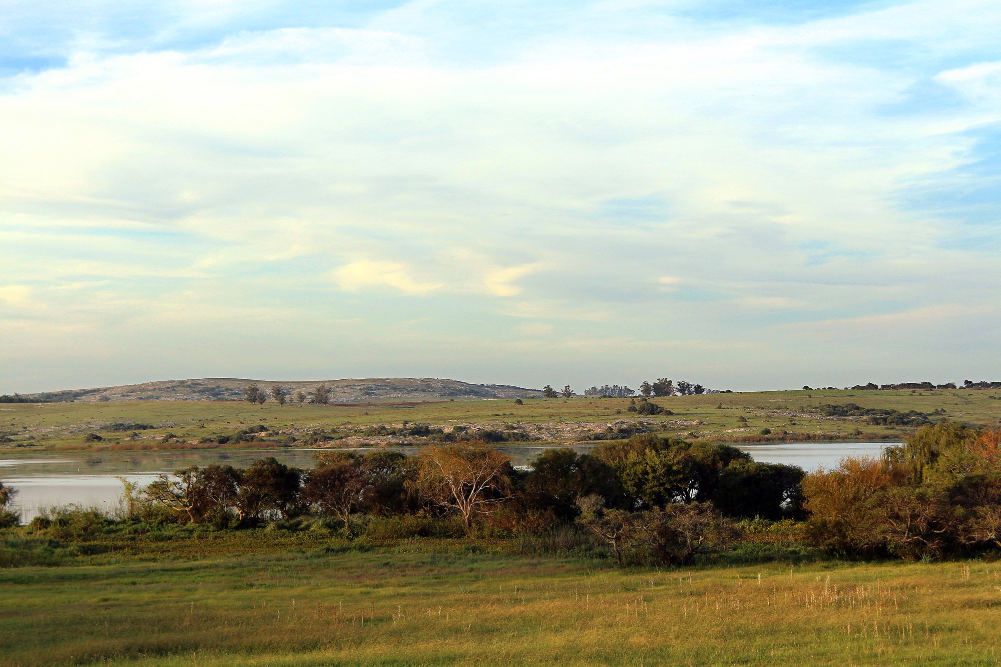  18 acre farm on the Laguna del Sauce - 物件實景