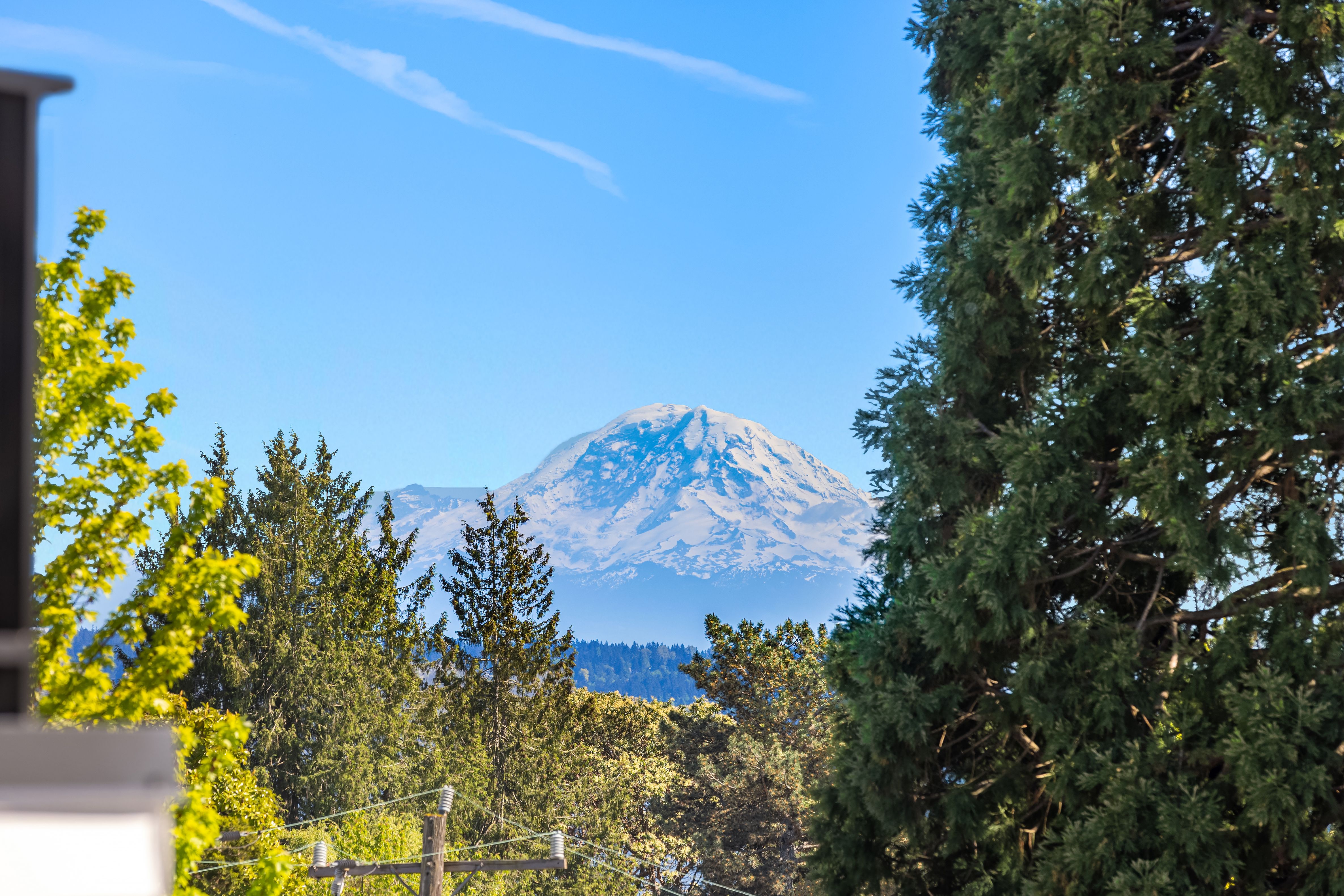 1802 38th Ave, Seattle, WA 98122 - 物件實景