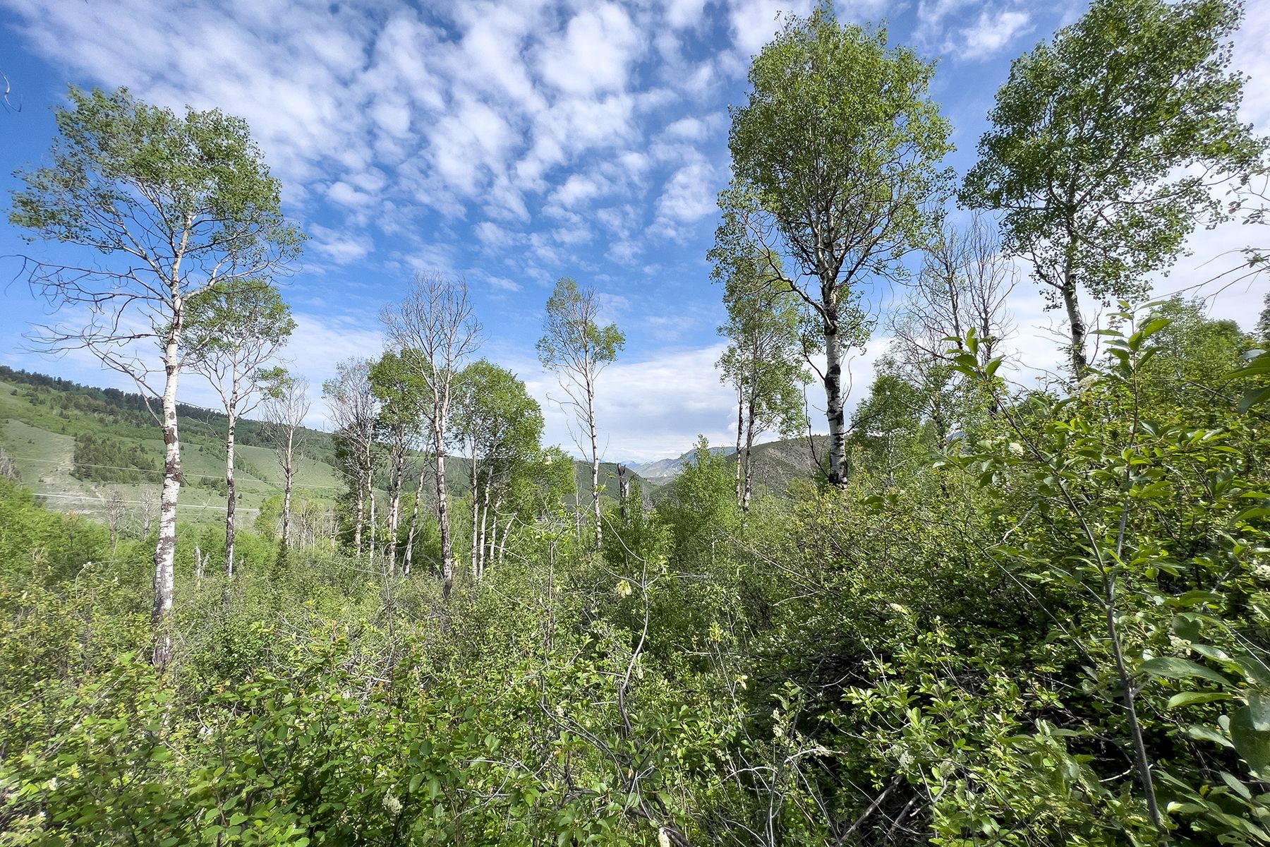  Rodeo Road - 物件實景