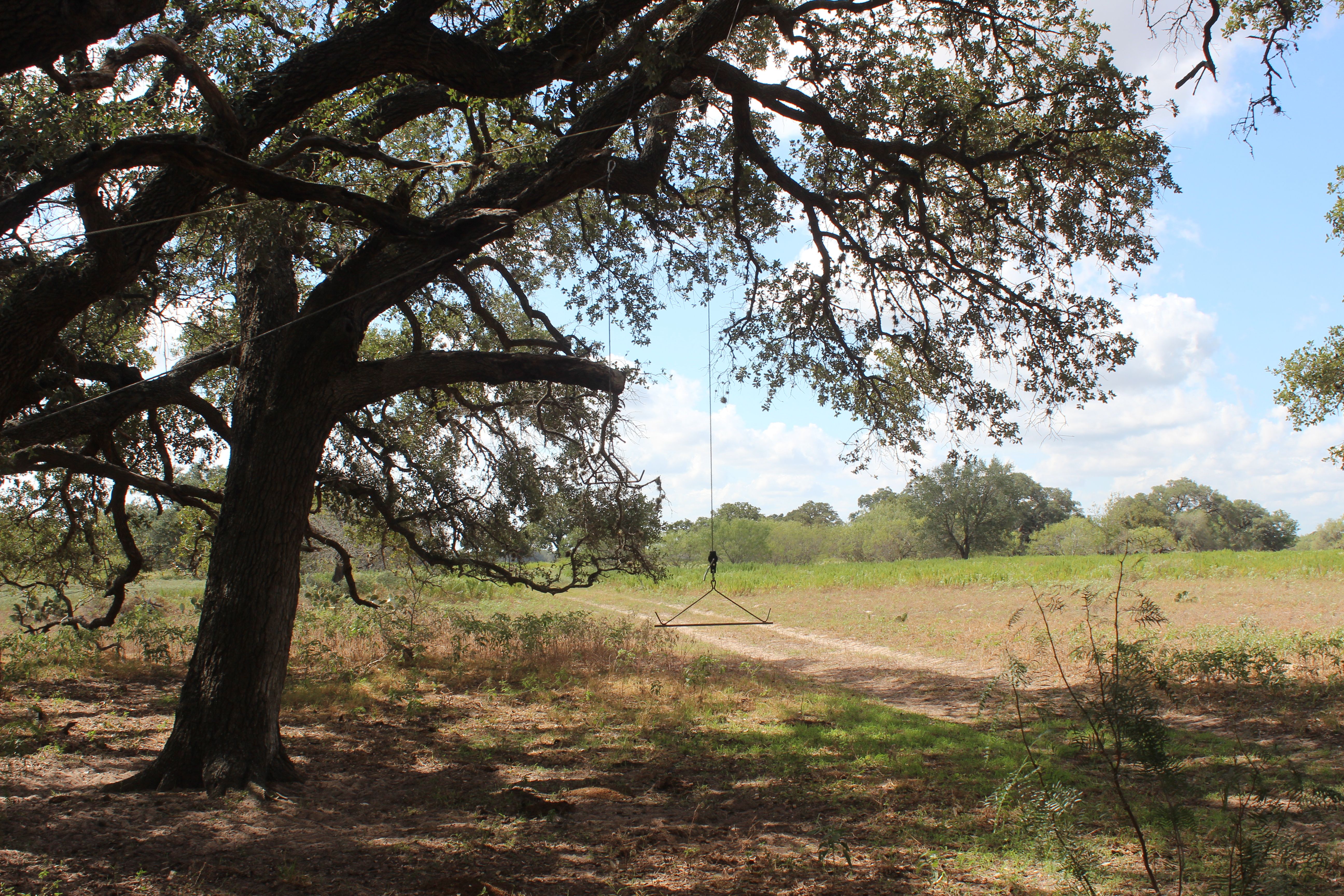  398+/- Acre Grass Pond Colony Ranch - 物件實景
