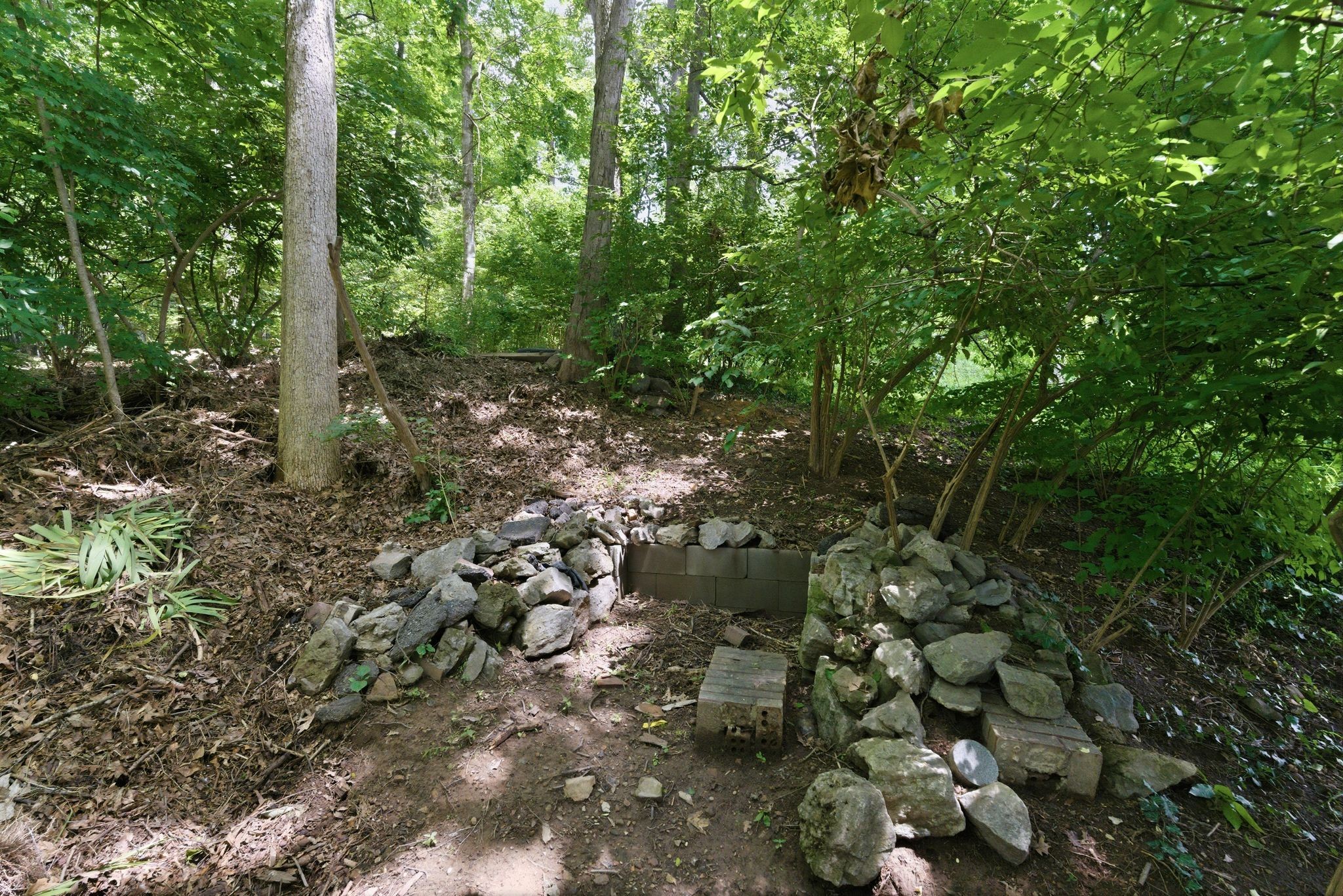  5430 Camelot Rd, Brentwood, TN, 37027 - 物件實景