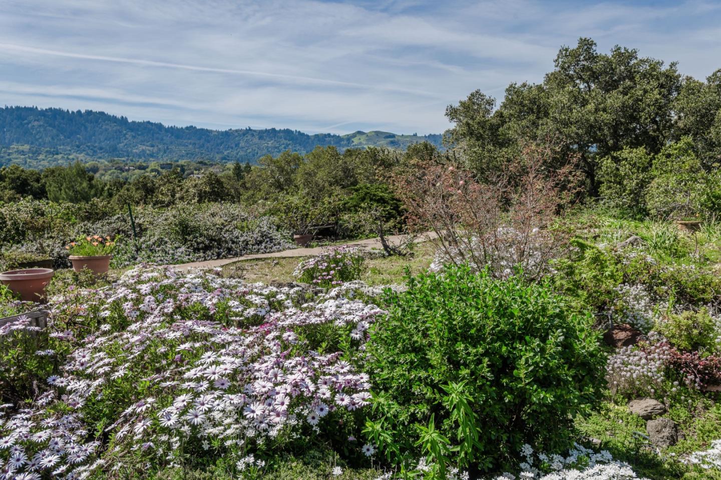 Portola Valley, California, 94028, United States, ,Land,For Sale,1752265