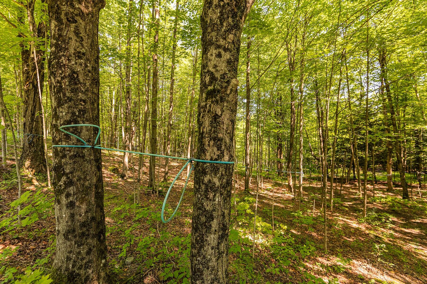  Dunham, Eastern Townships - 物件實景