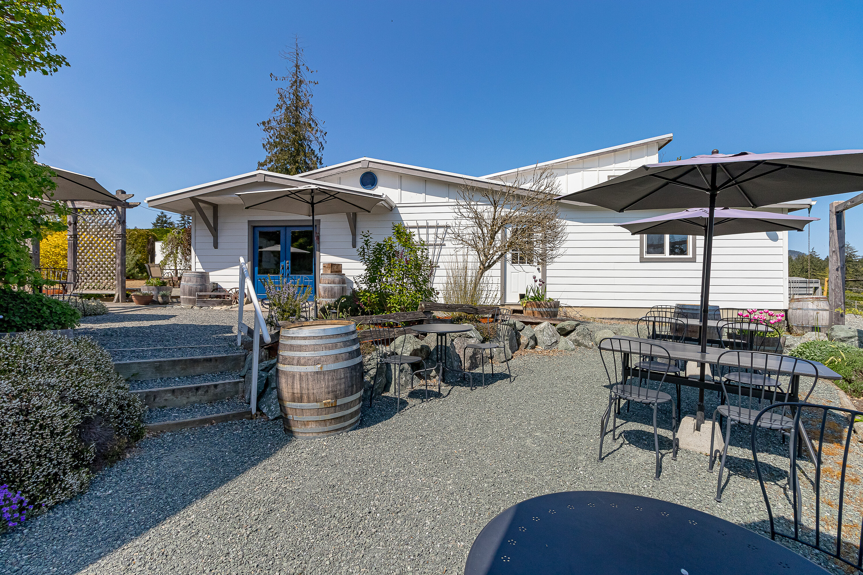  Welcome to Emandare Vineyard - 物件實景