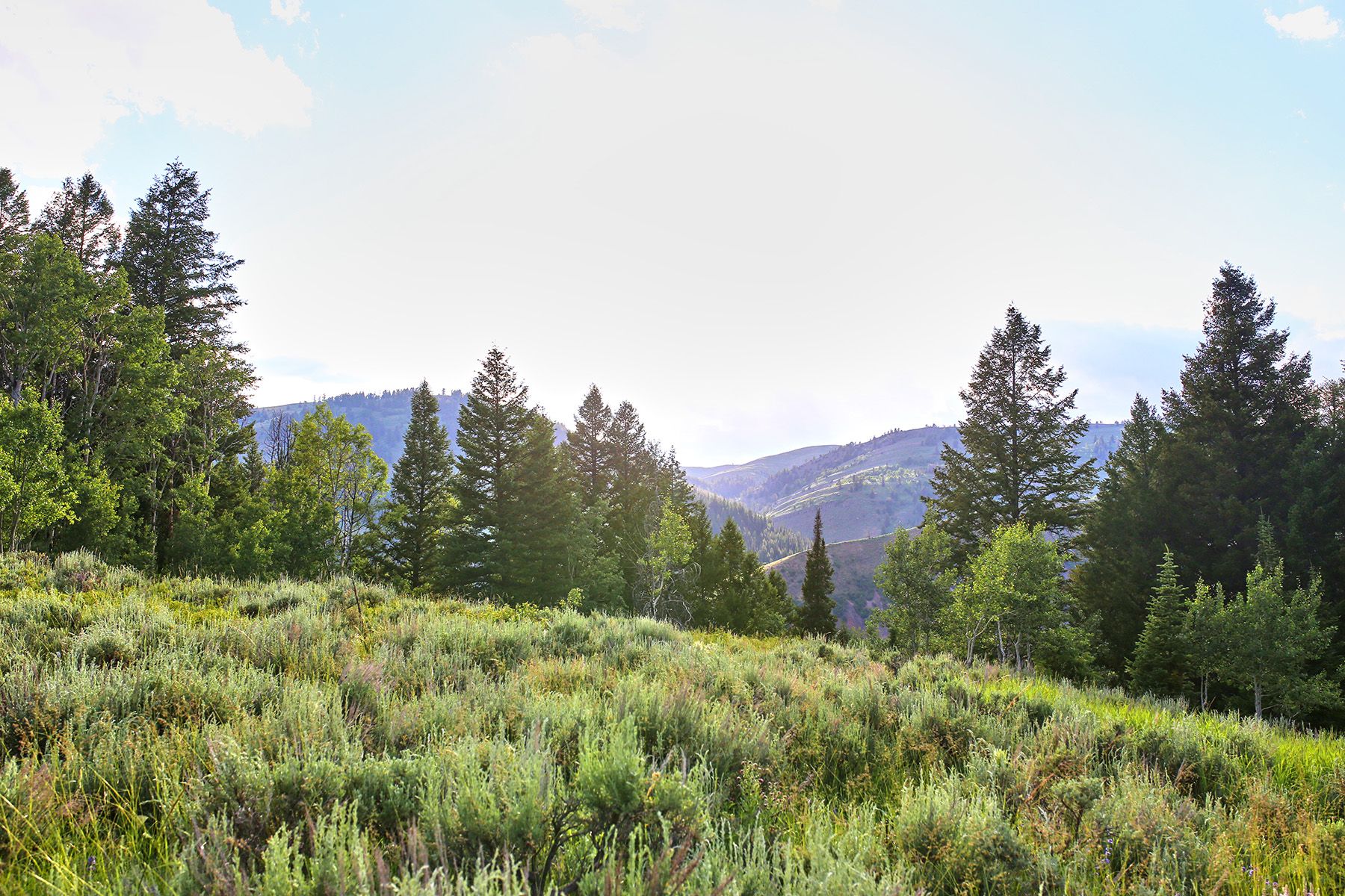  Snake River Sporting Club Lot - 物件實景