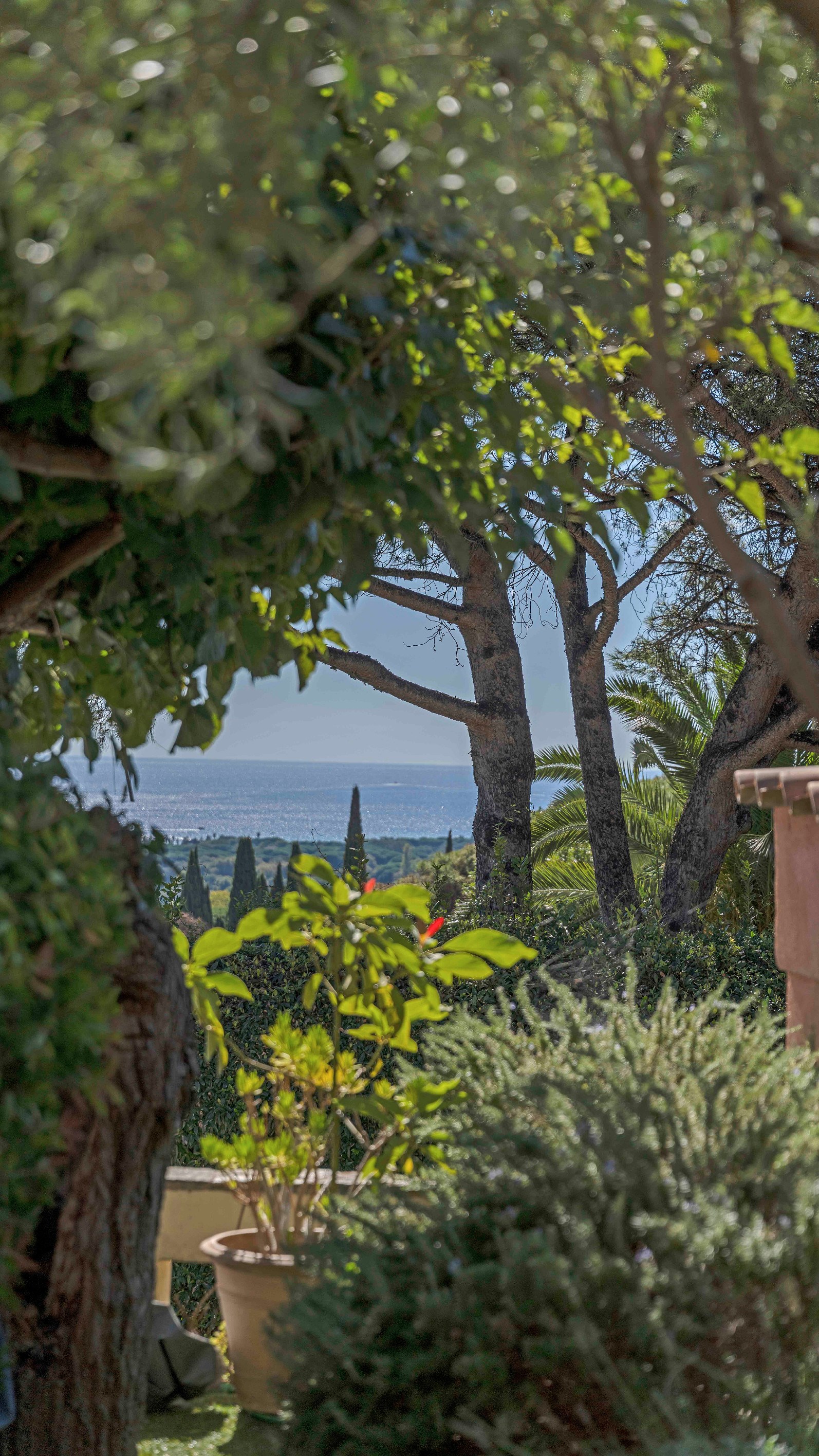  Charming Provençal villa with sea view near Saint-Tropez – French Riviera - 物件實景