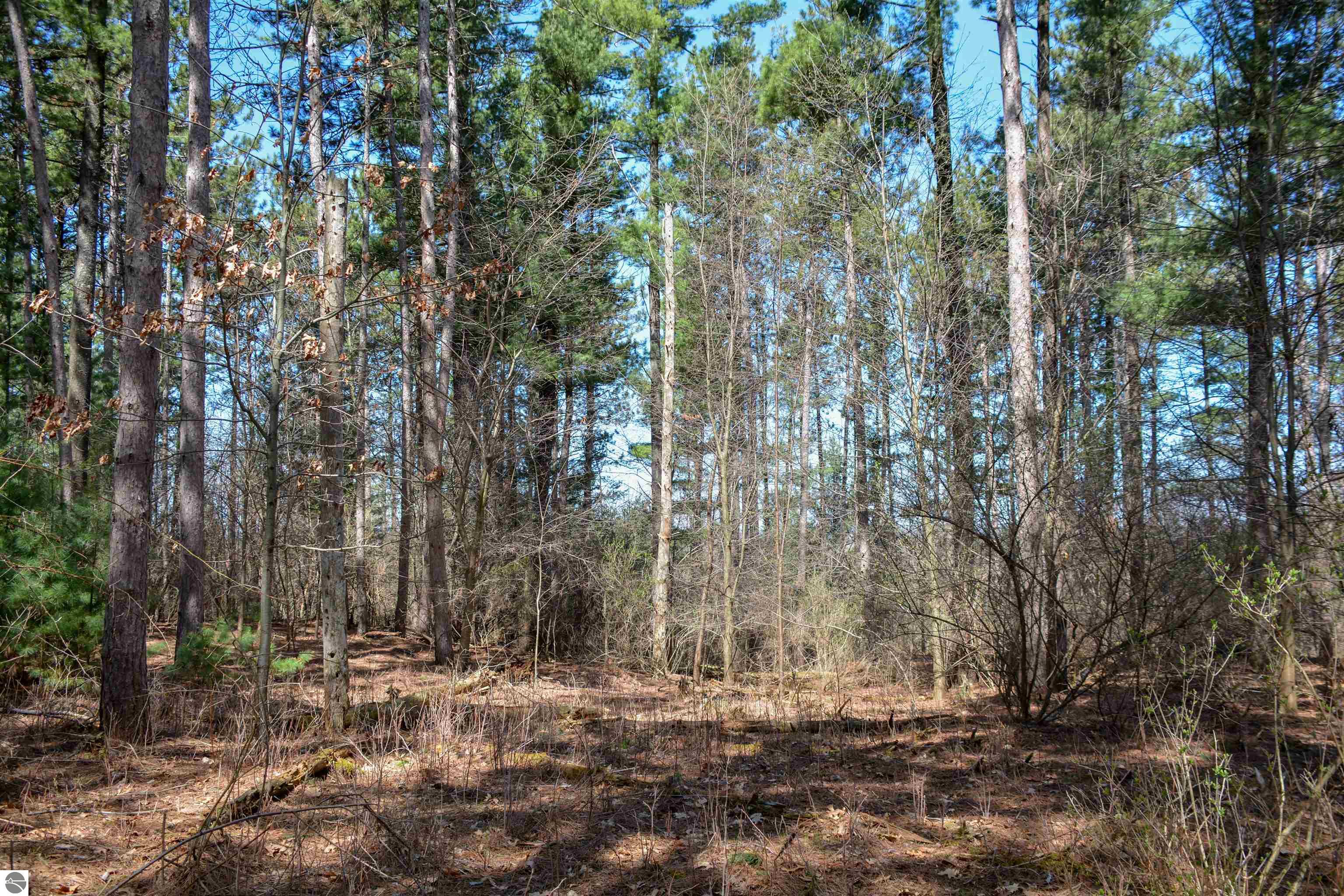 Traverse City, Michigan, 49696, United States, ,Land,For Sale,1850292