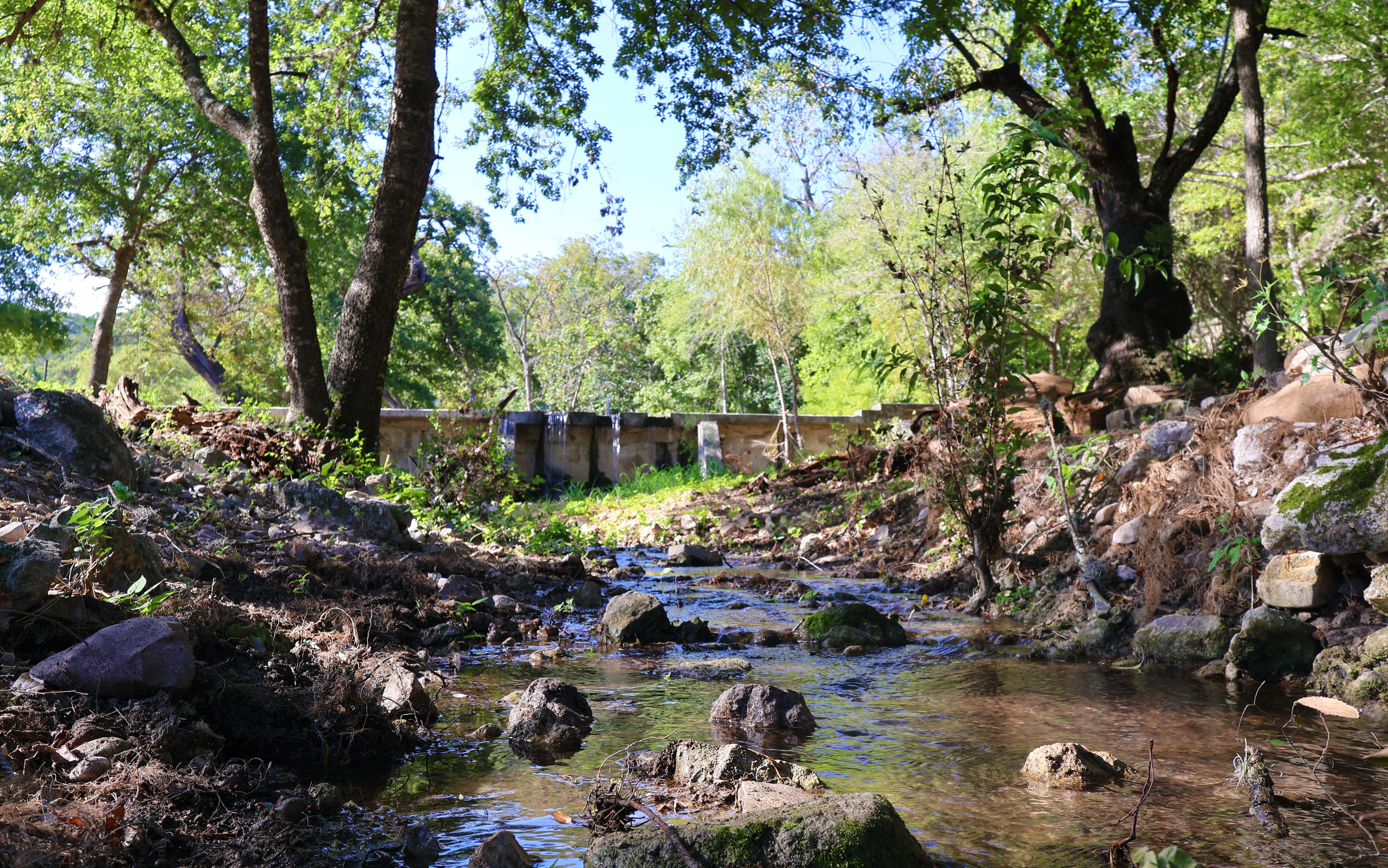  985+/- Acre 12 Springs Ranch - 物件實景