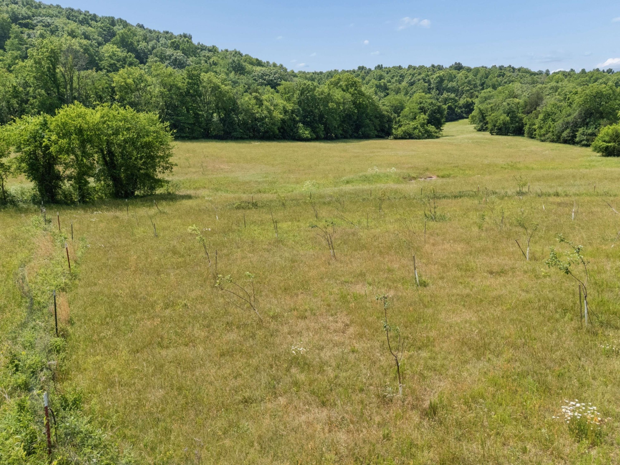  2063 Kennedy Creek Rd, Auburntown, TN, 37016 - 物件實景