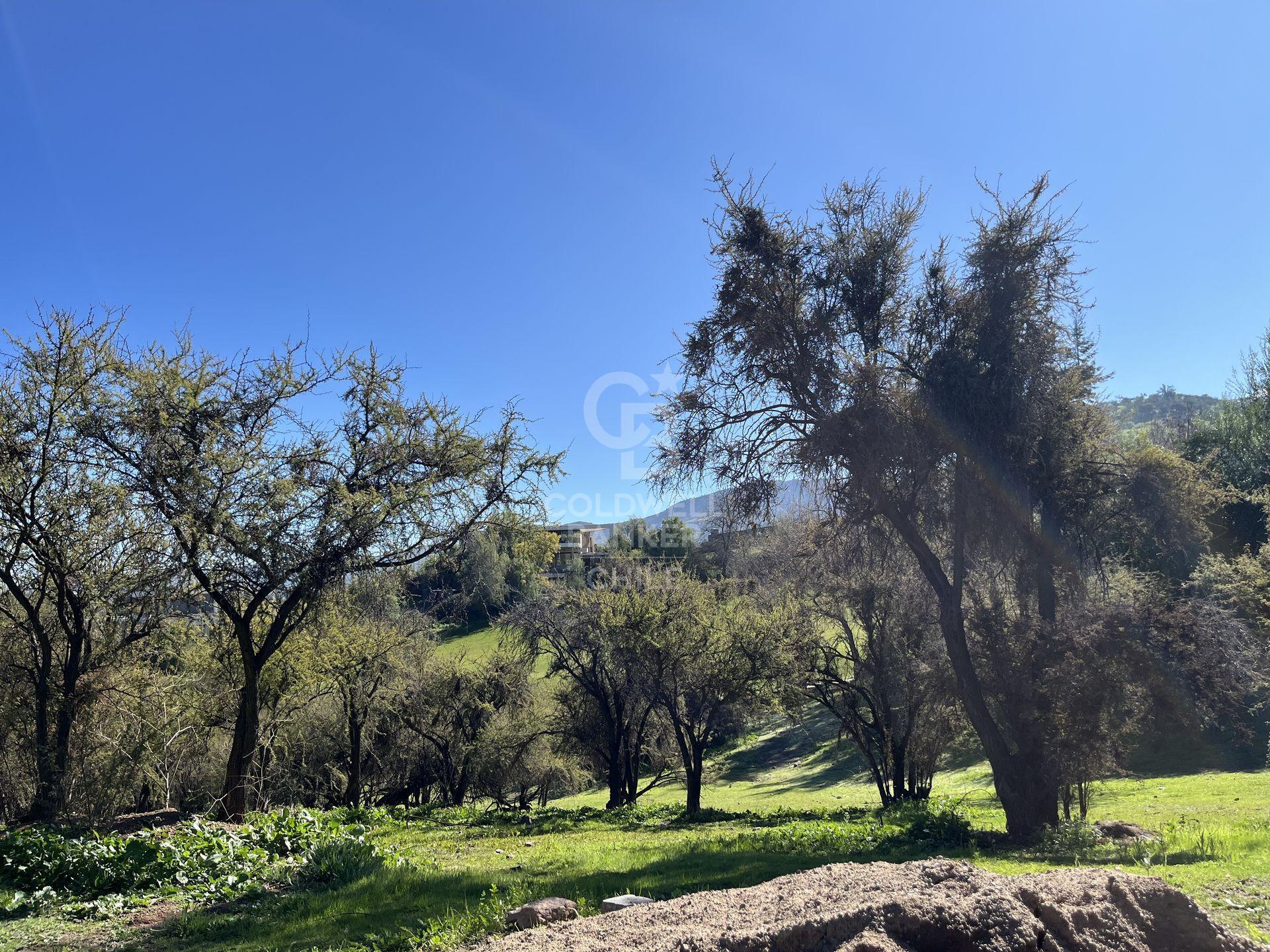 Lo Barnechea, Chile, ,Land,For Sale,1972603