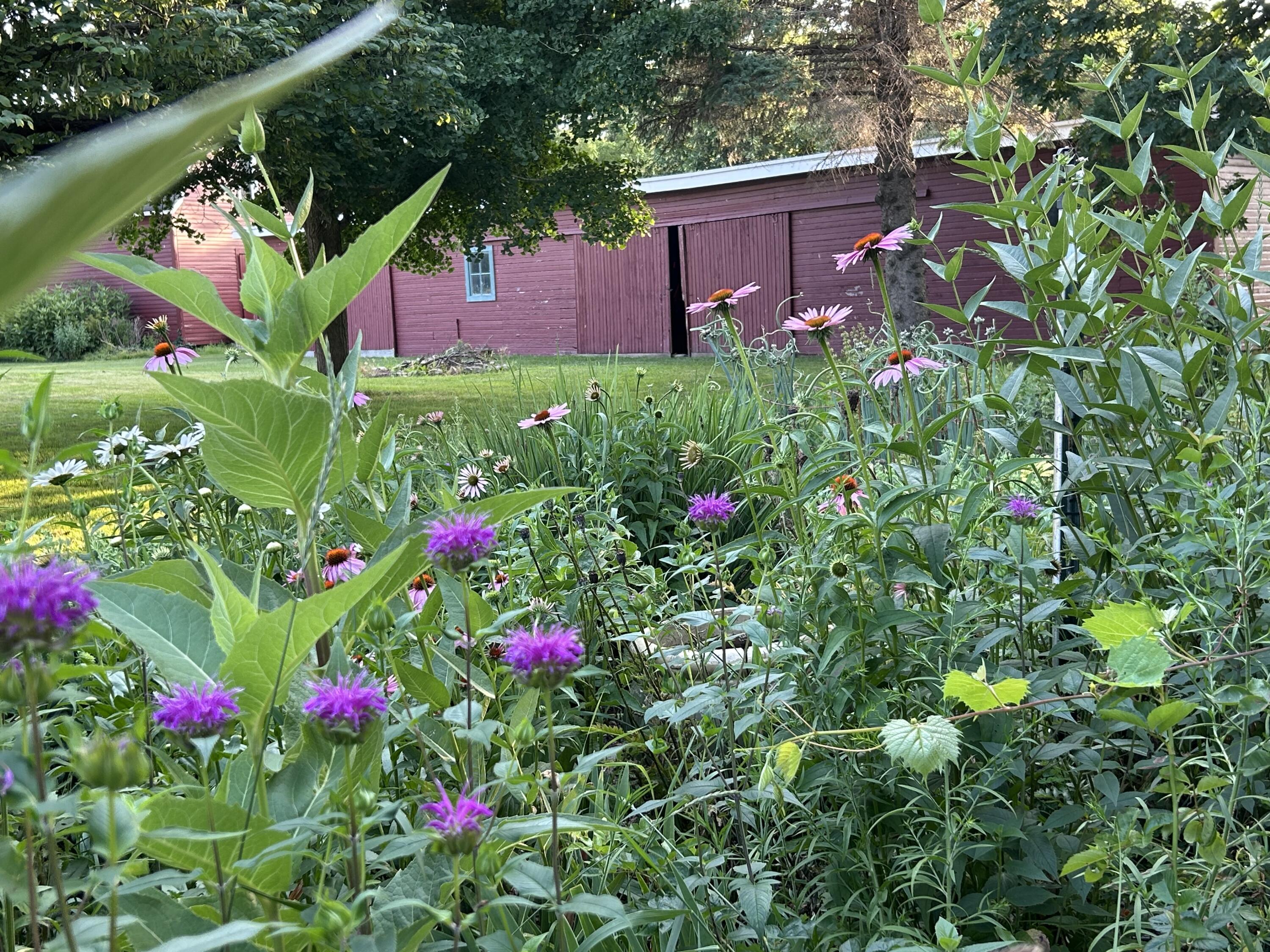 Ida, Michigan, 48140, United States, 4 Bedrooms Bedrooms, ,3 BathroomsBathrooms,Residential,For Sale,1973909