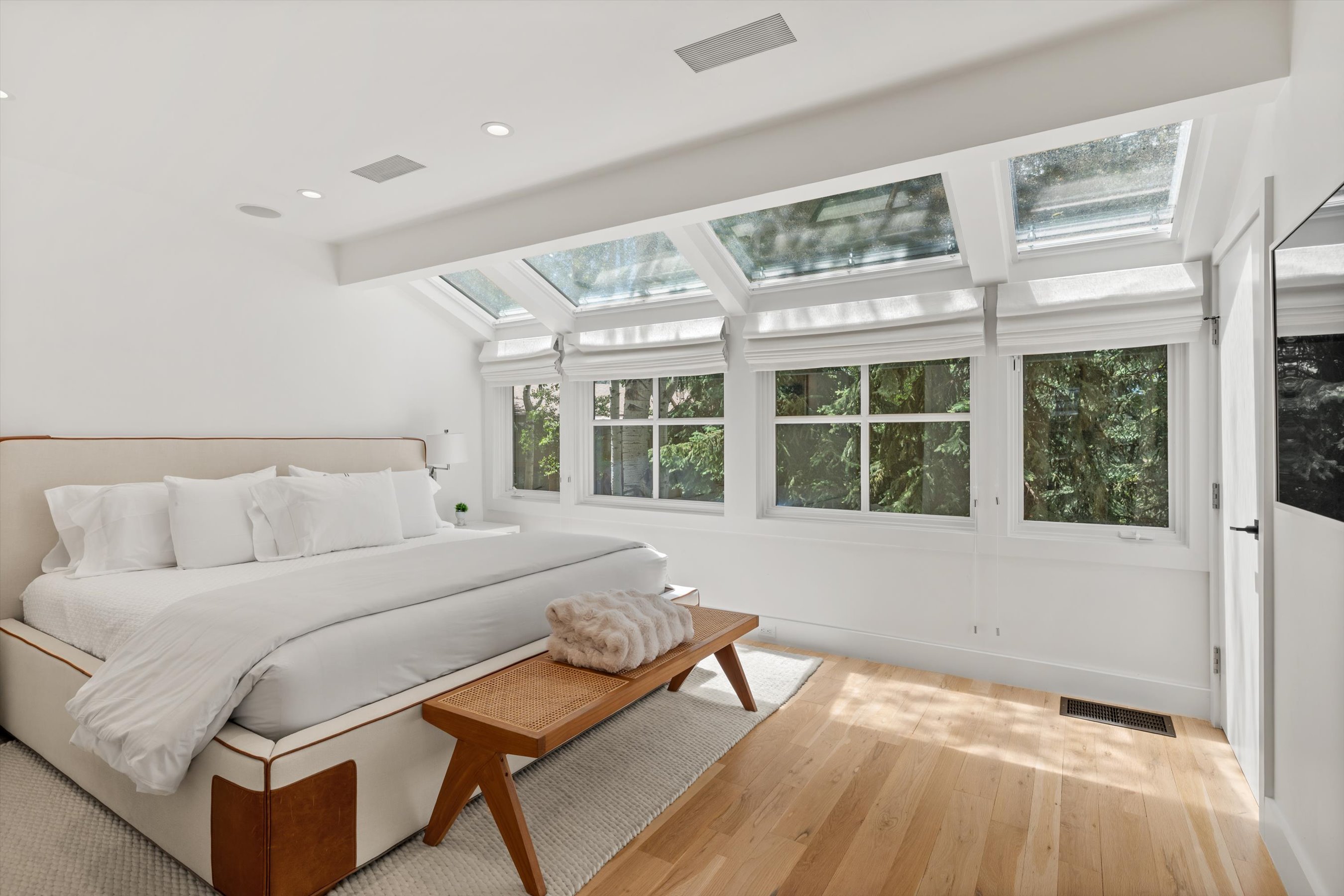  100 North 8th Street, Aspen, CO 81611 - 物件實景