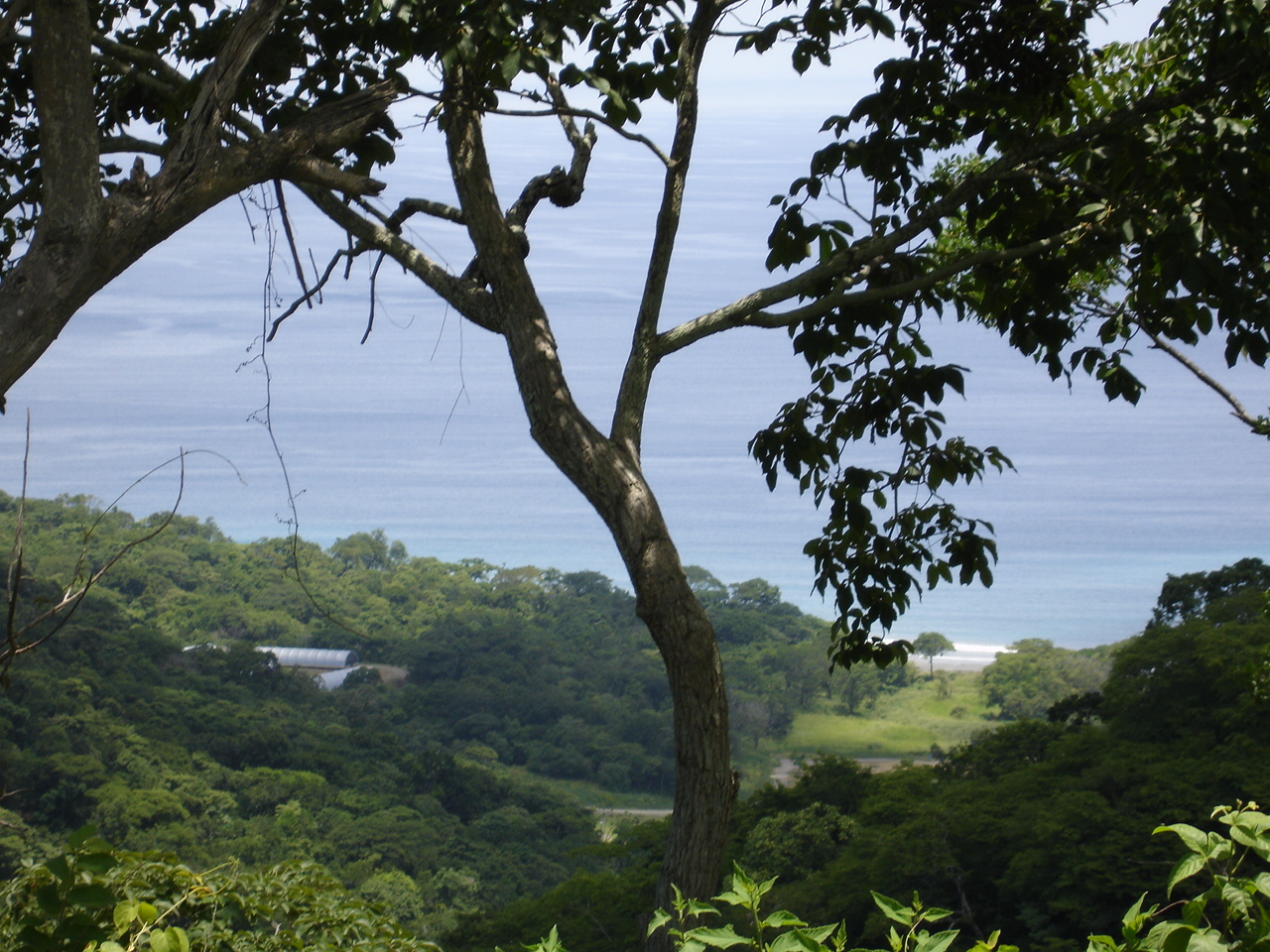 Papagayo Gulf, Guanacaste, CR, ,Land,For Sale,1589167