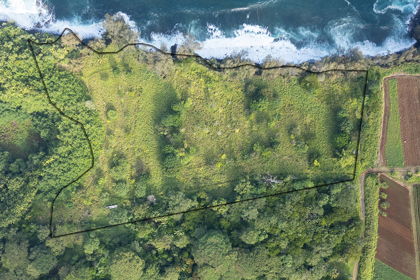 Pepeekeo, Hawaii, 96783, United States, ,Land,For Sale,1978999