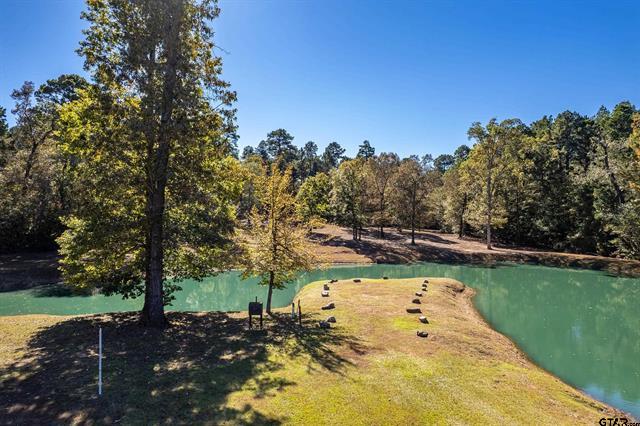 Winona, Texas, 75792, United States, 4 Bedrooms Bedrooms, ,2 BathroomsBathrooms,Residential,For Sale,1995143