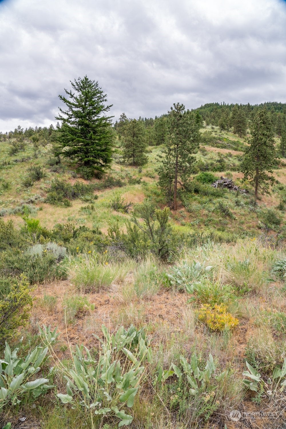 Wenatchee, Washington, 98801, United States, ,Land,For Sale,1690373