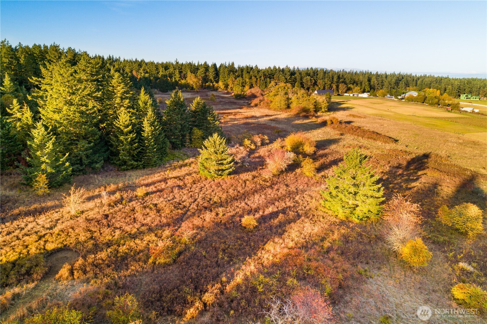 Friday Harbor, Washington, 98250, United States, ,Land,For Sale,1991931