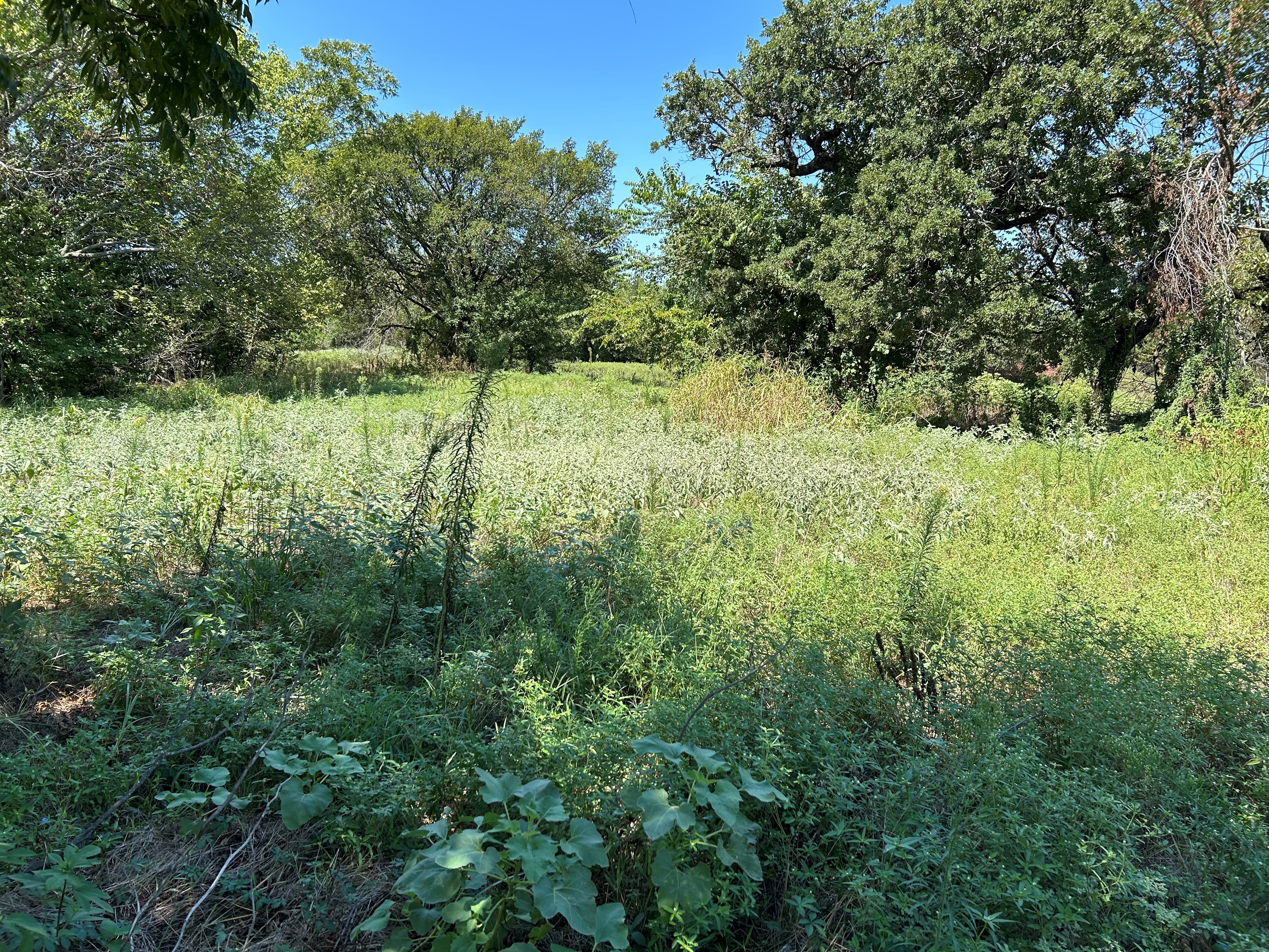 Boyd, Texas, 76023, United States, ,Land,For Sale,1974224