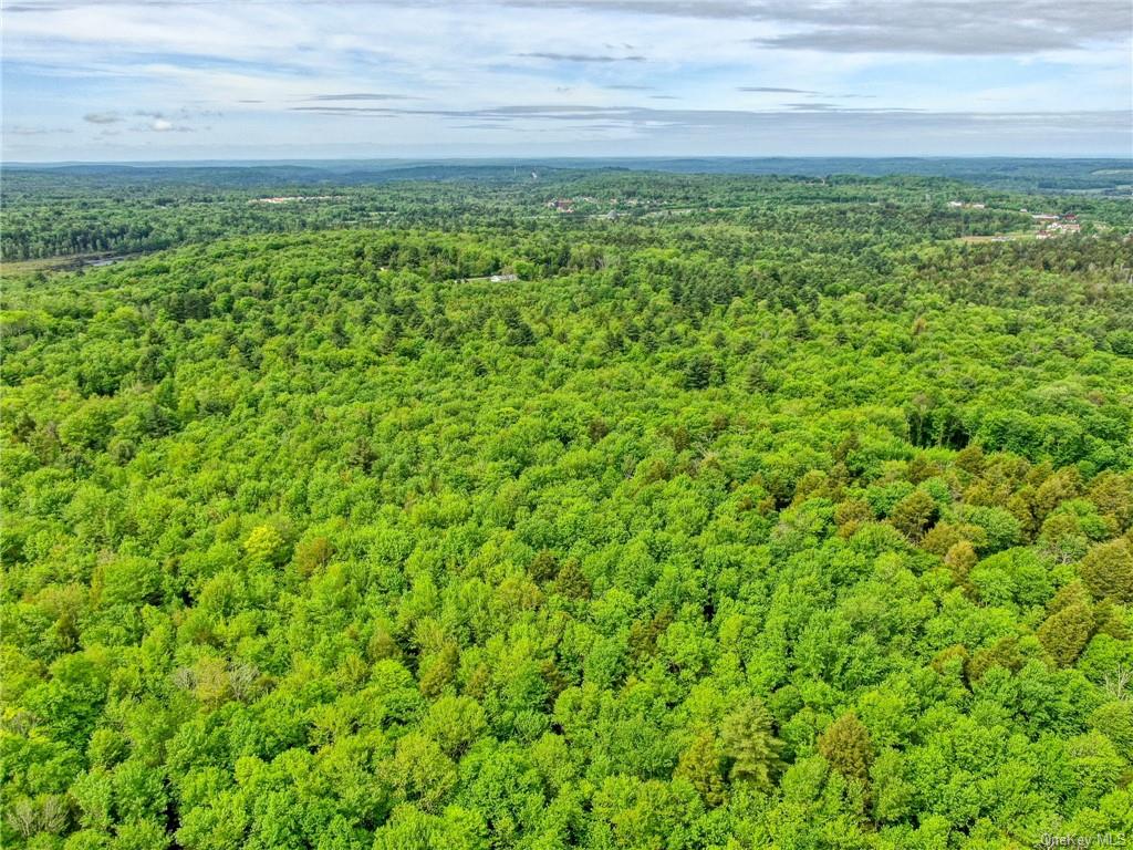 Monticello, New York, 12701, United States, ,Residential,For Sale,1980735