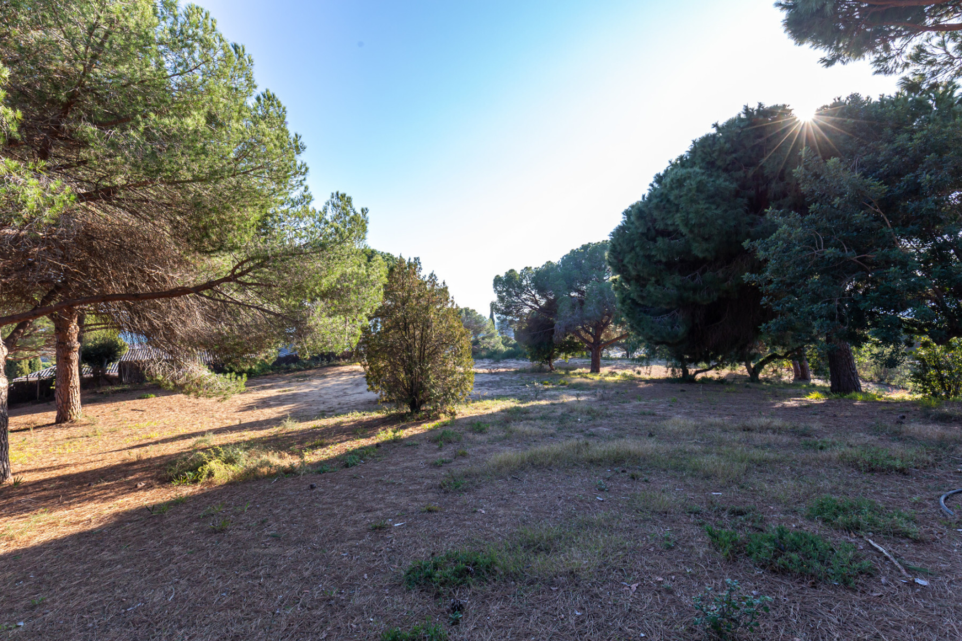  Sublime Project with ?Ready to build? license in Llavaneres - Costa BCN - 物件實景