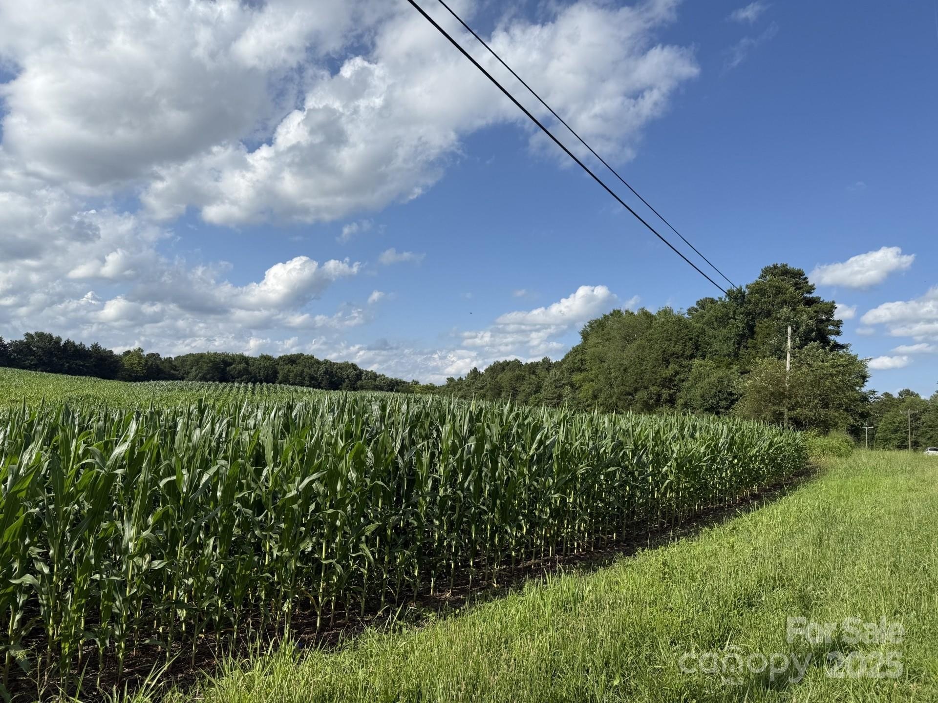 Mount Pleasant, North Carolina, 28124, United States, ,Residential,For Sale,1880803