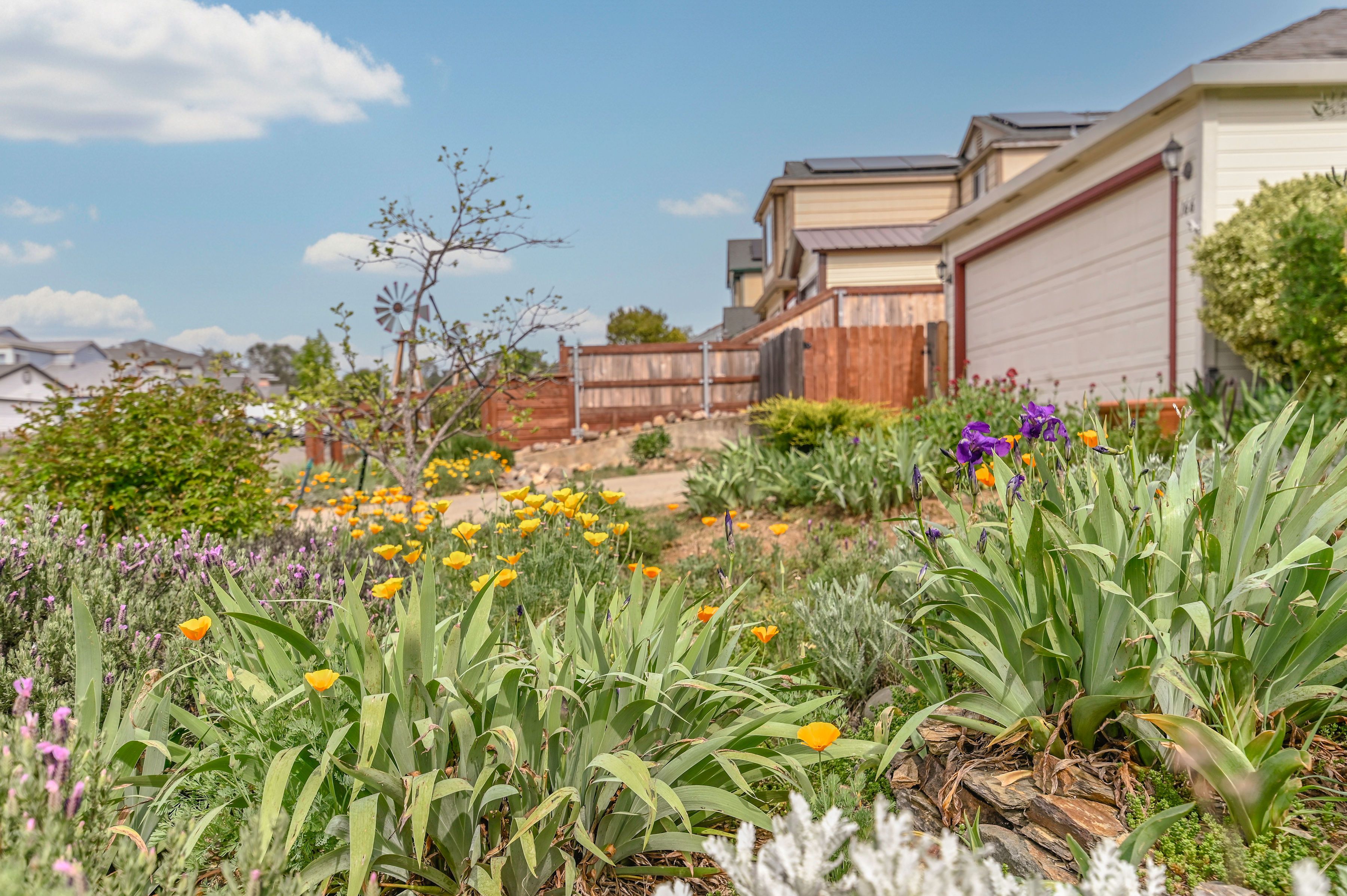  166 Placer Drive, Jackson, CA 95642 - 物件實景