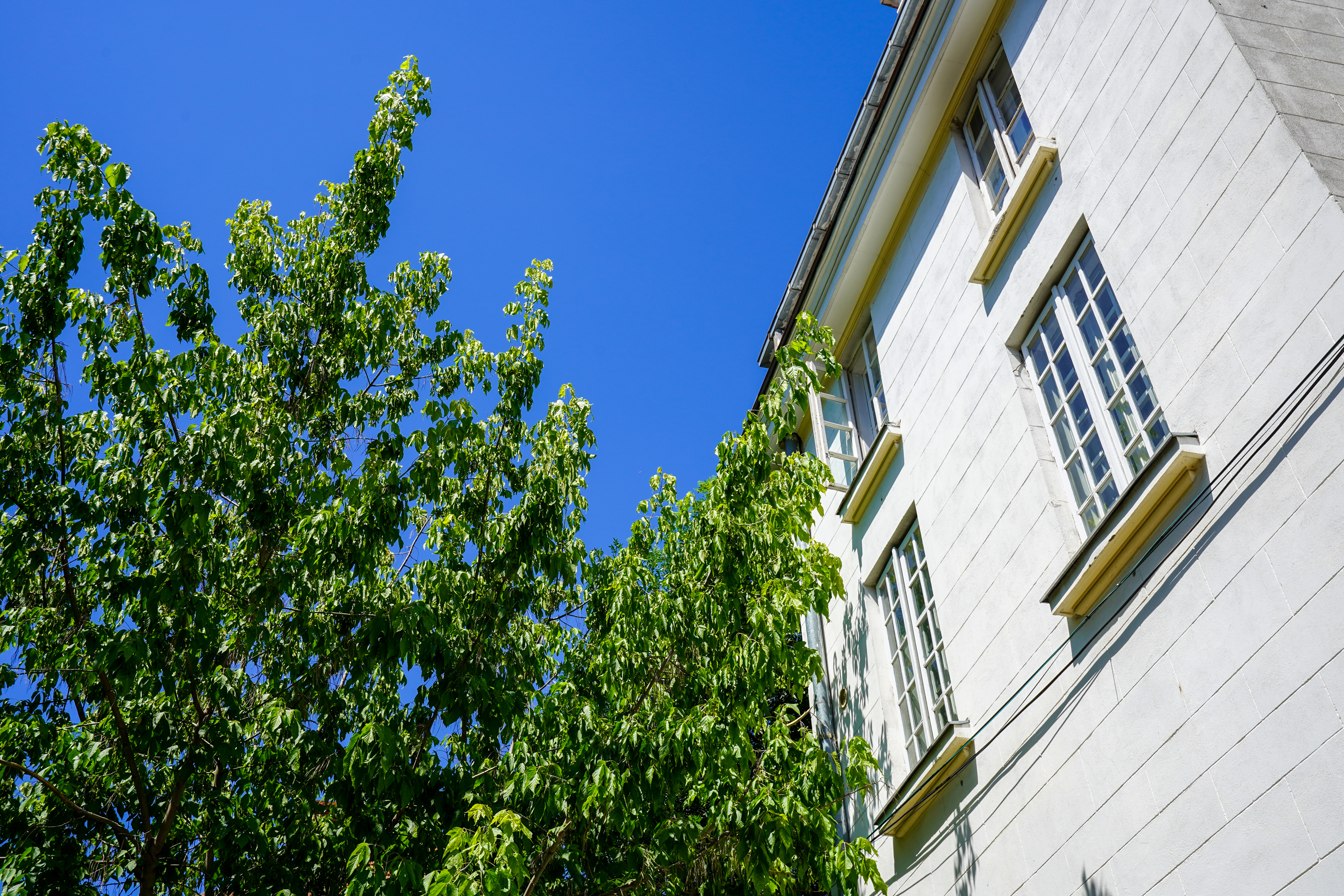  A Collector’s Residence on Kiseleff – The Architectural Legacy of Burcu & Marcu - 物件實景