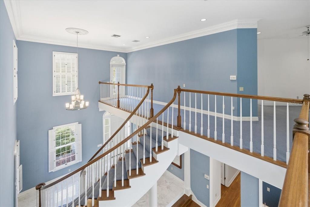 Tampa, Florida, 33647, United States, 4 Bedrooms Bedrooms, ,6 BathroomsBathrooms,Residential,For Sale,1989549