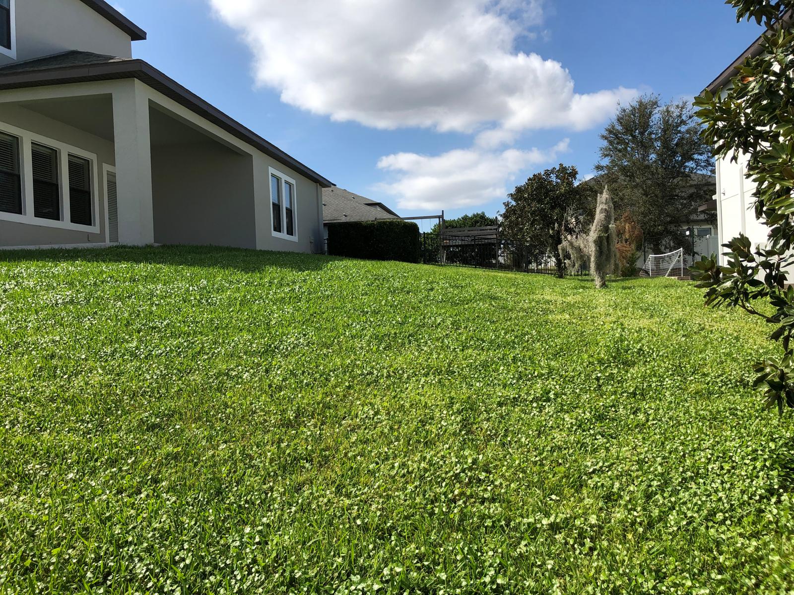 Winter Garden, Florida, 34787, United States, 5 Bedrooms Bedrooms, ,4 BathroomsBathrooms,Residential,For Sale,1744741