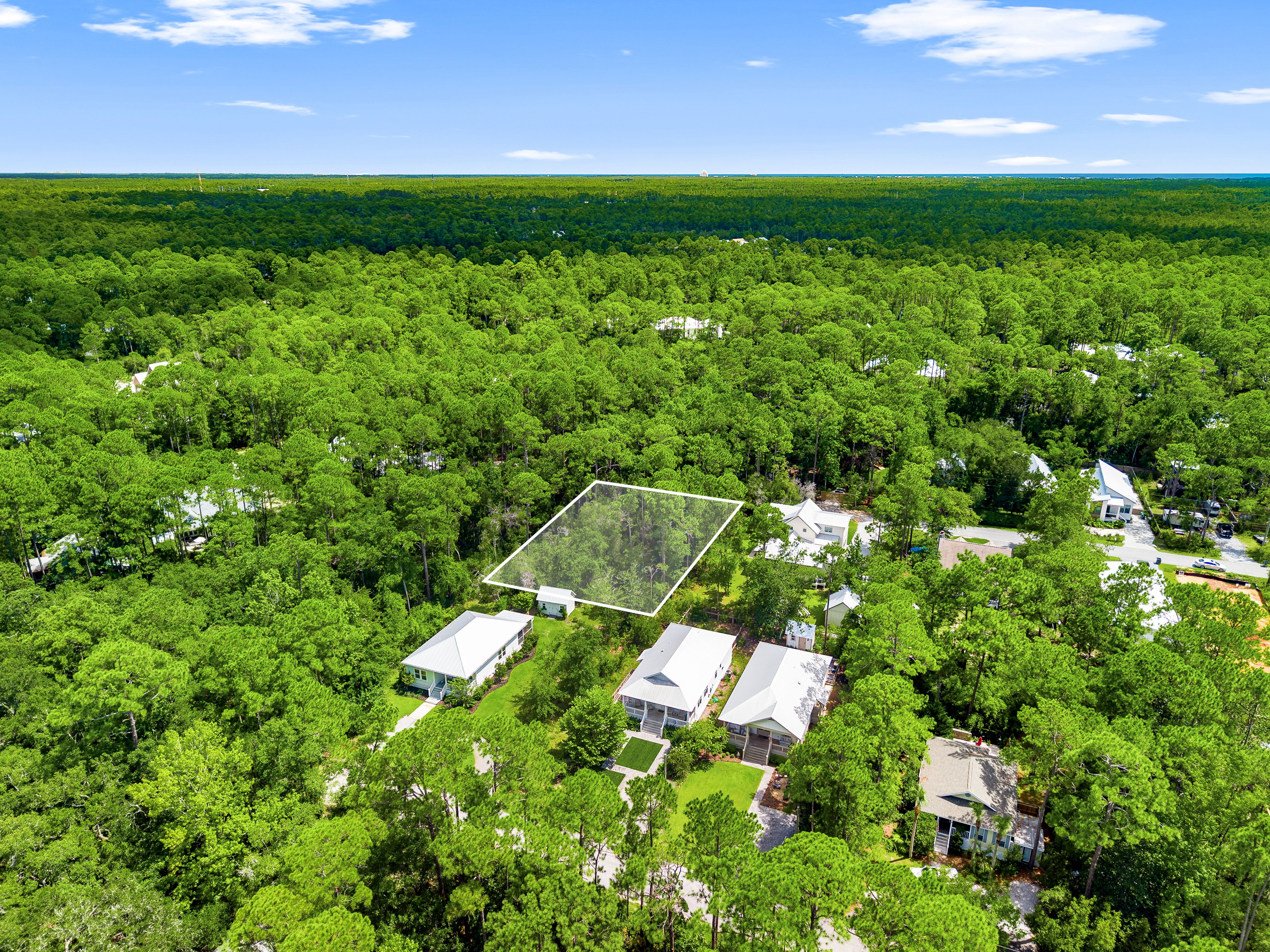  Expansive Point Washington Homesite Near the Bay & 30A - 物件實景