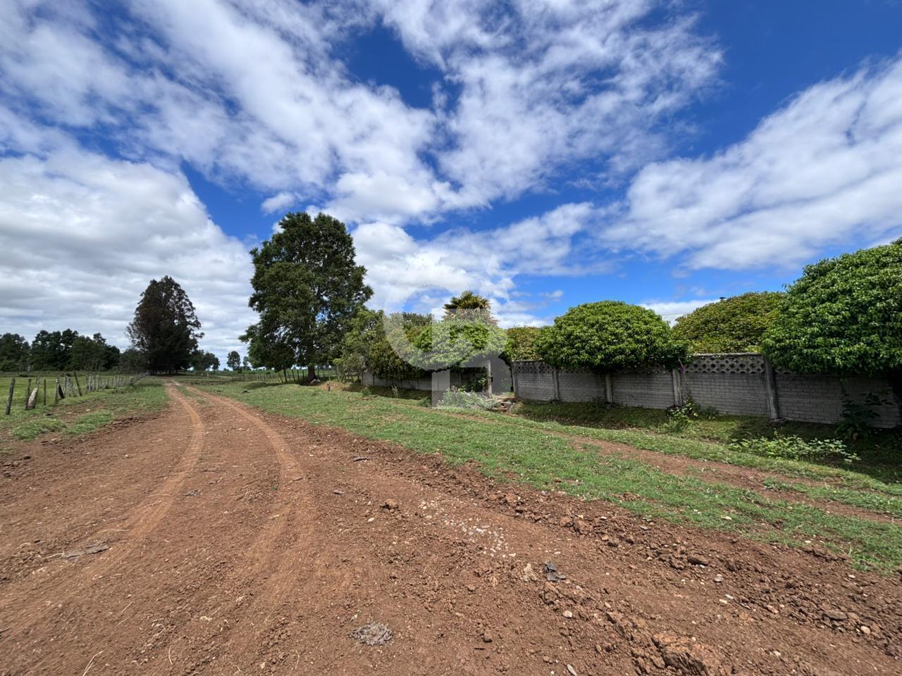 Fresia, Chile, ,Land,For Sale,2003048