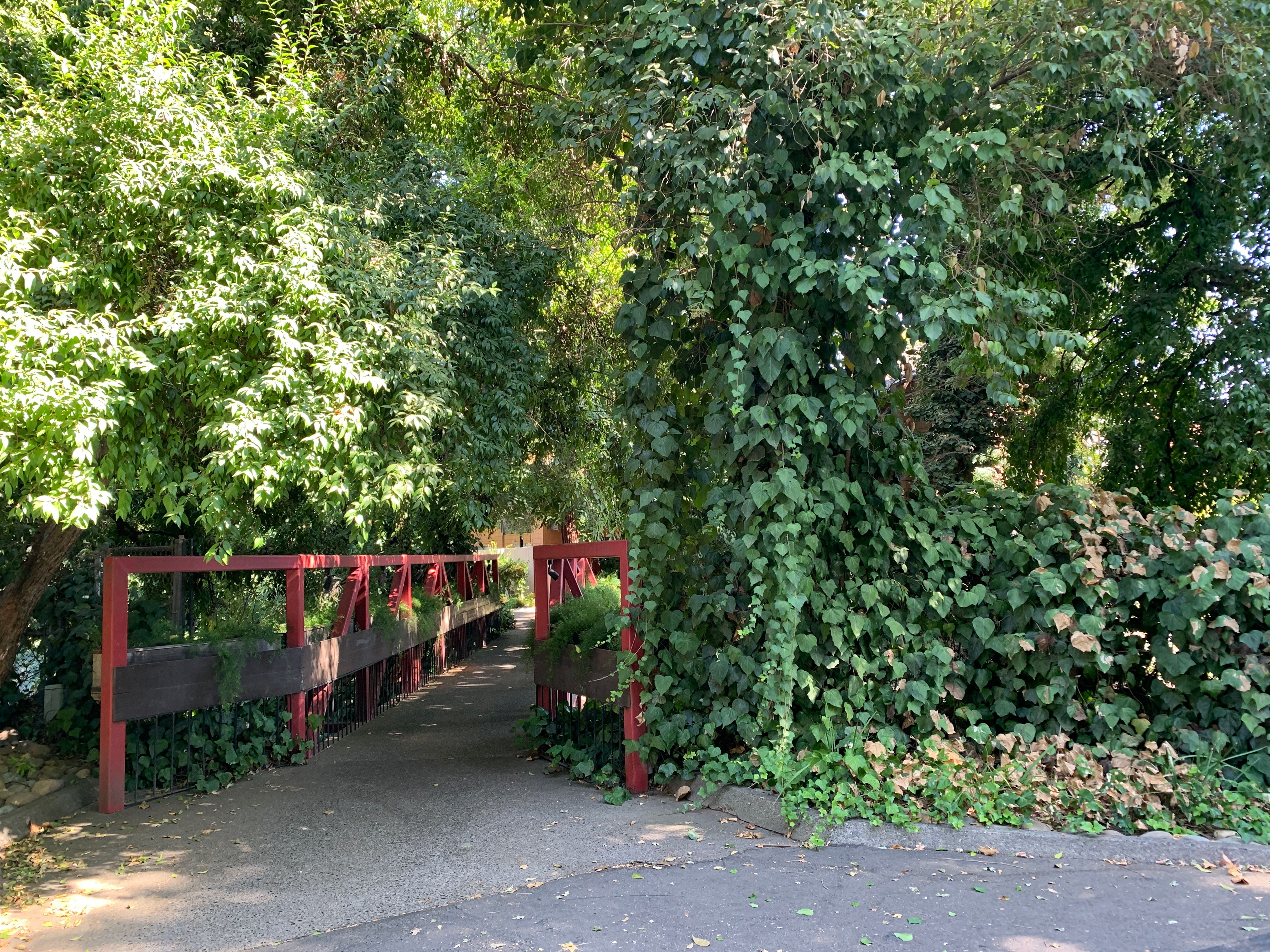  700 Woodside Lane East #5, Sacramento, CA 95825 - 物件實景