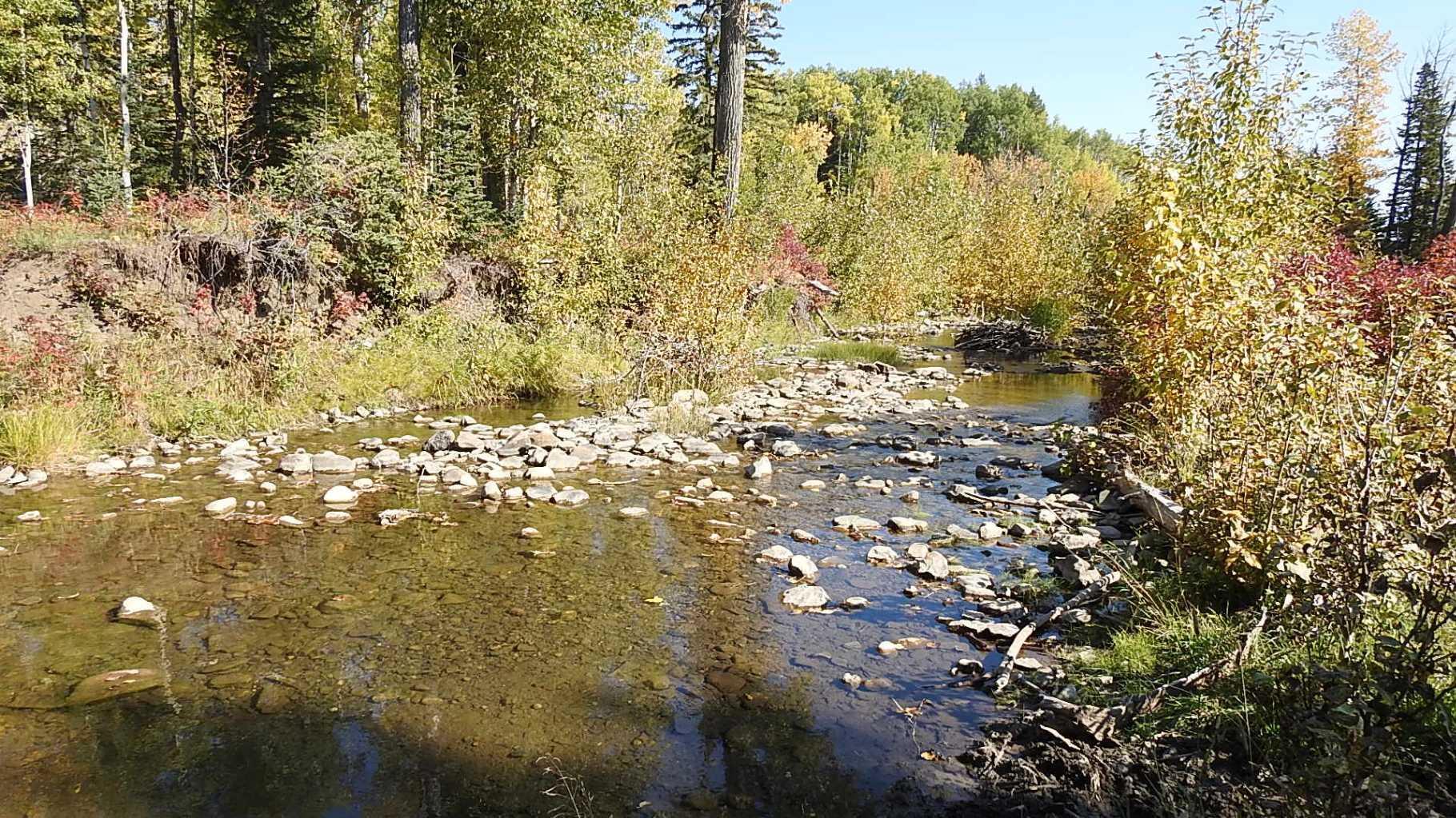 RURAL FOOTHILLS COUNTY, Alberta, T0L 1K0, CA, ,Residential,For Sale,1836944