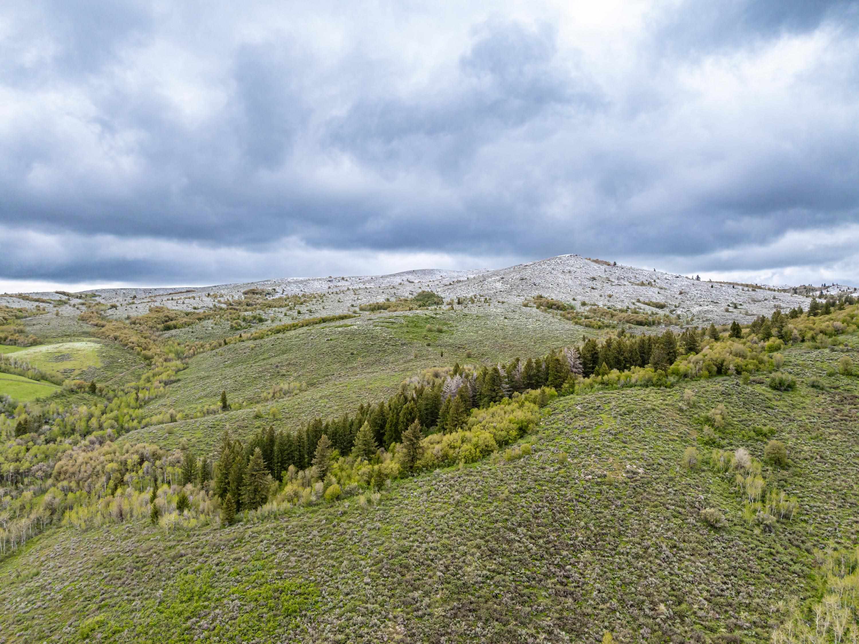 Pocatello, Idaho, 83202, United States, ,Residential,For Sale,1900816