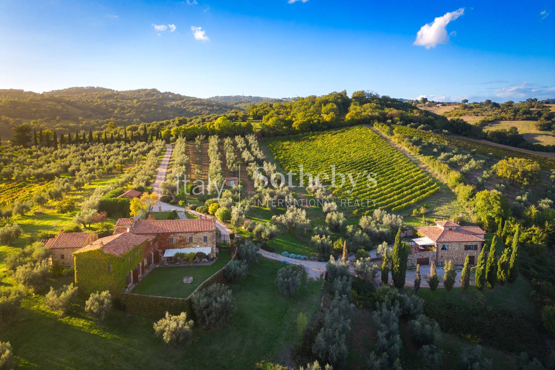  Historic farmhouse with olive grove and vineyard - 物件實景